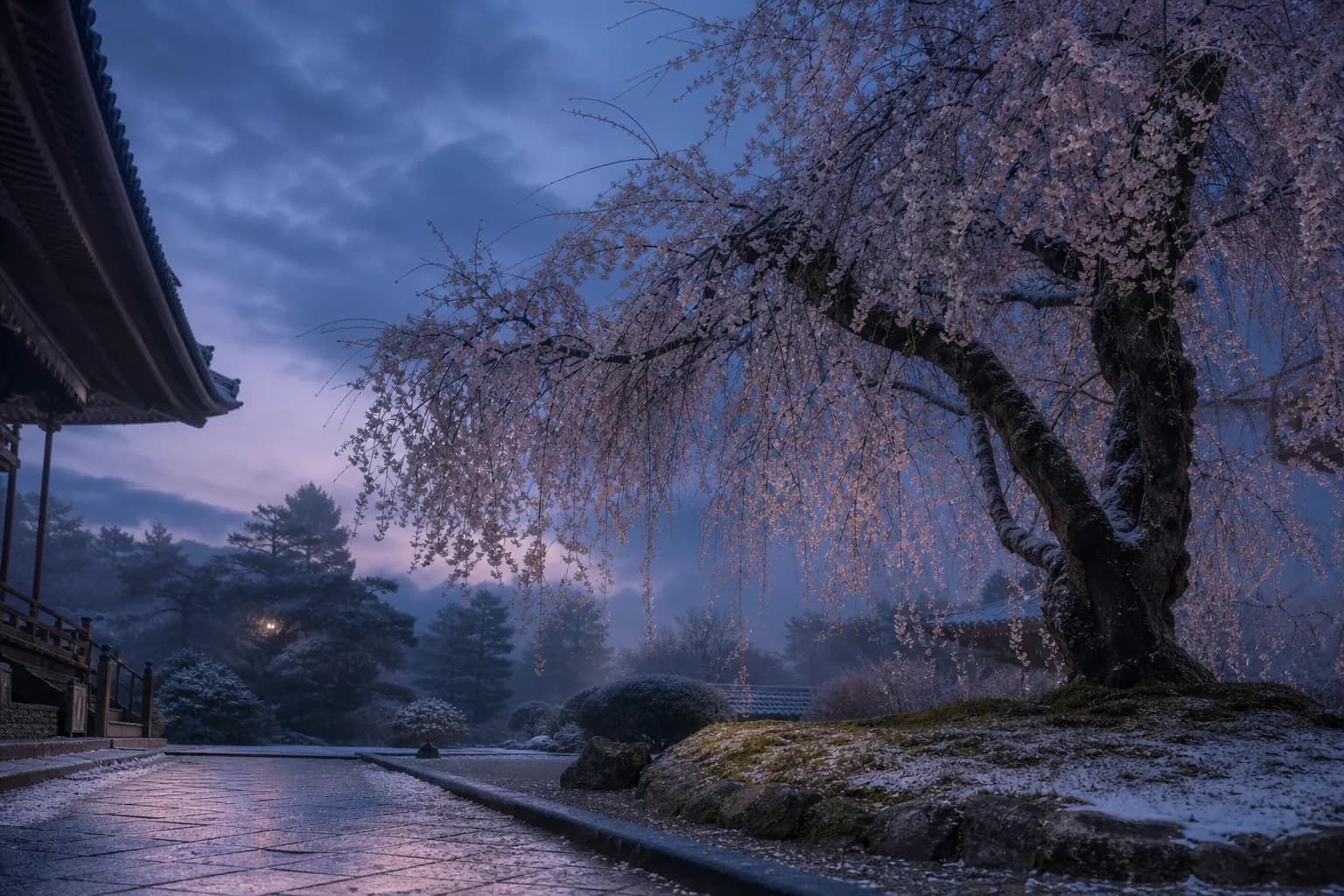 Everything You Need to Know About Kyoto's 2026 Cherry Blossom Season