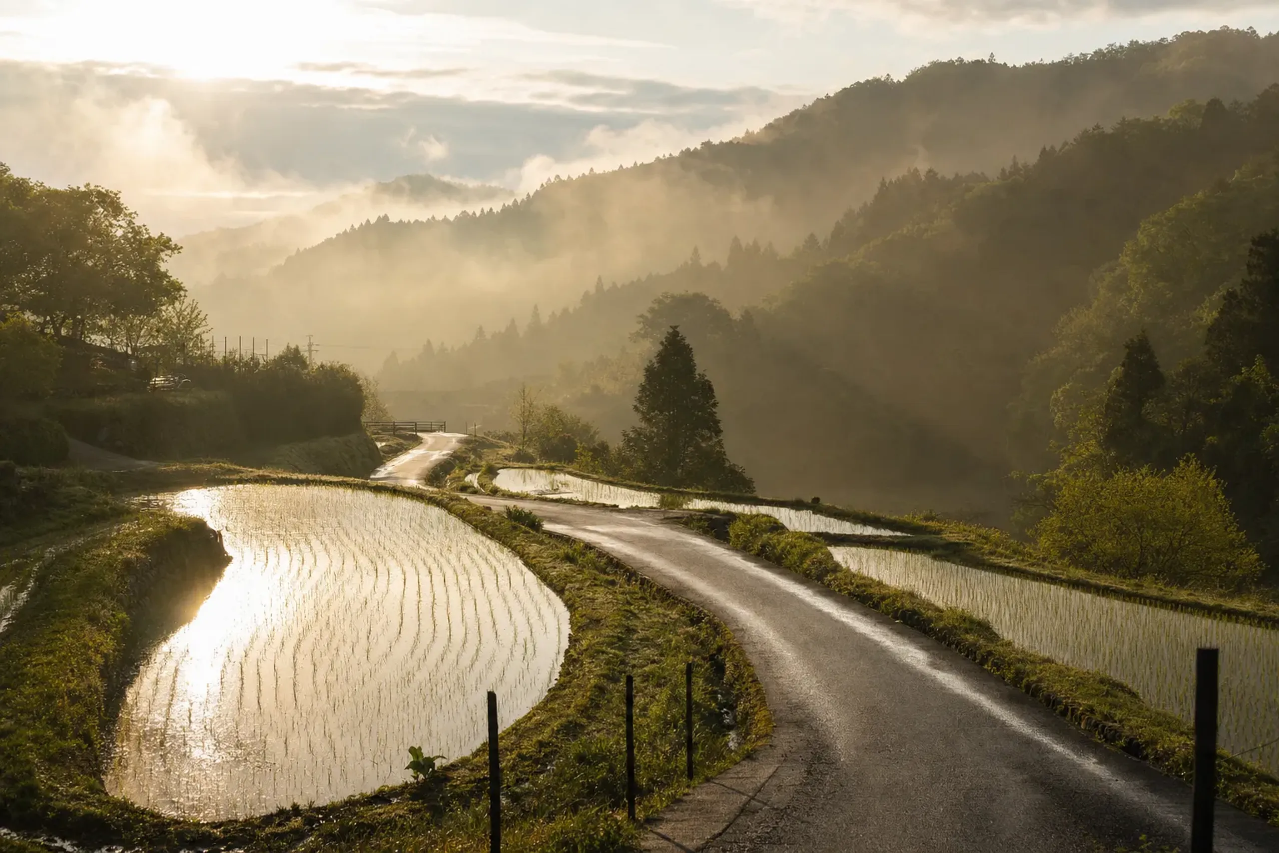 Quiet rural road leading out of Kyoto into a mountain valley with rice terraces and morning mist