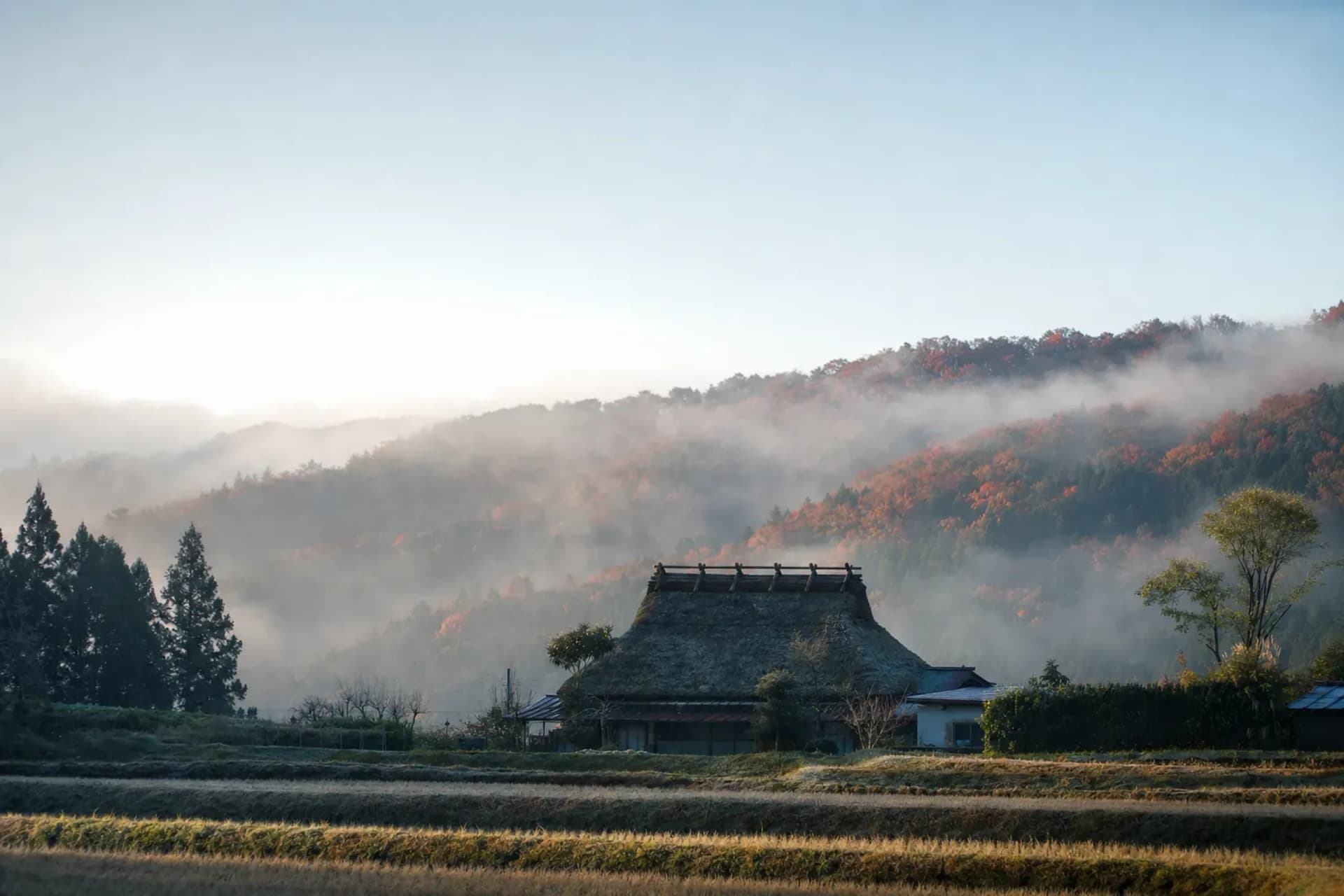 An Hour From Kyoto: Where to Go, and When