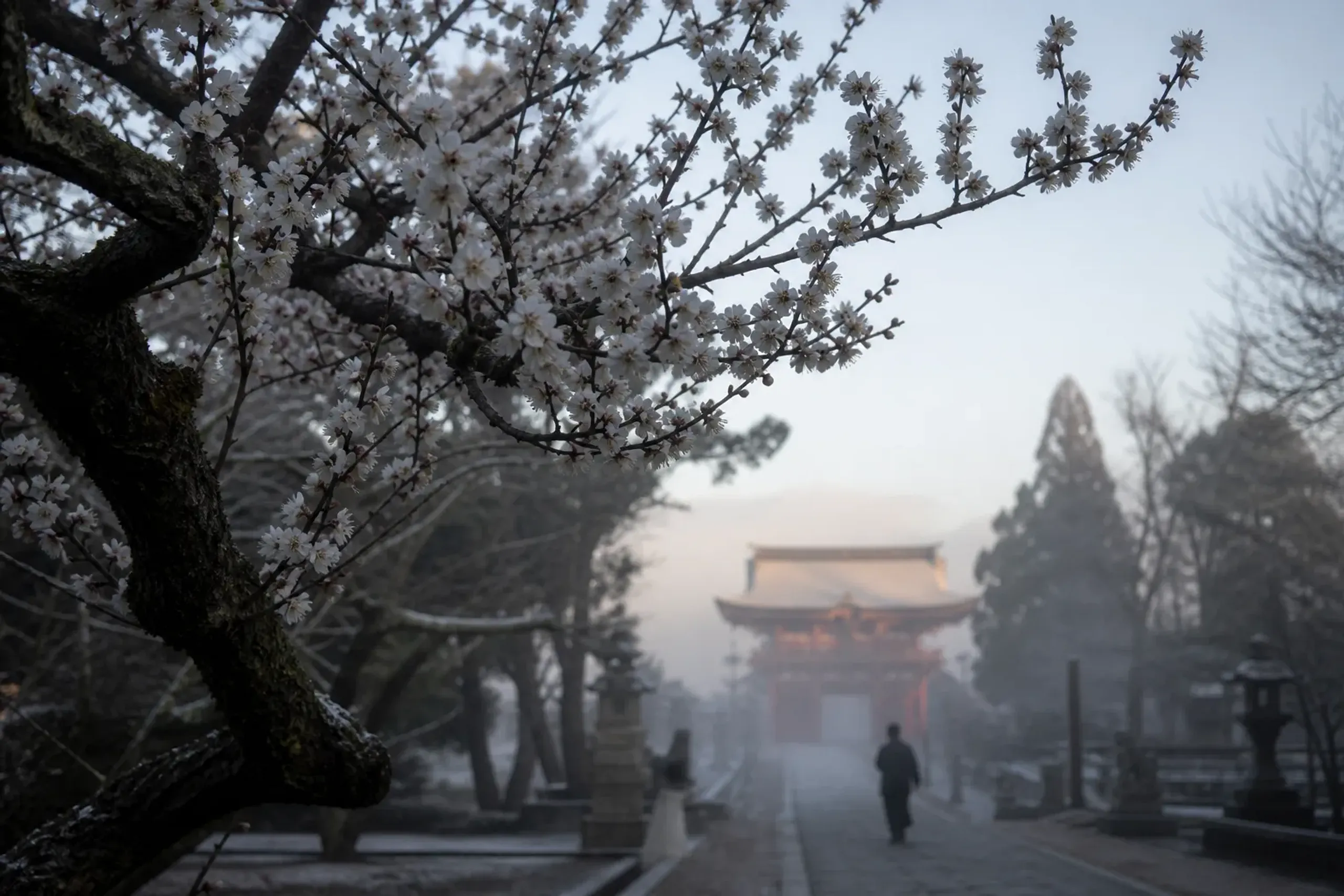Kitano Tenmangū, with roughly 1,500 plum trees, and Jōnangū,