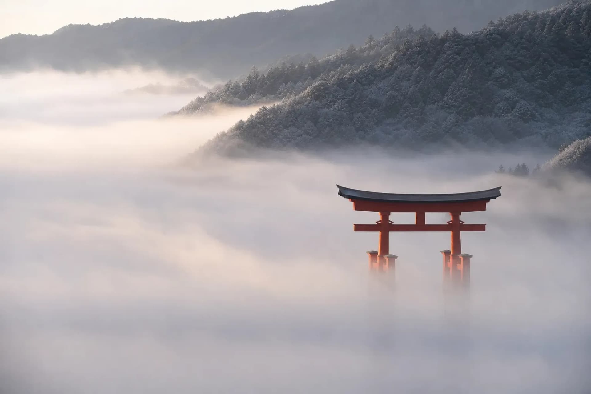 Kyoto In The Mist: A Discreet Luxury Morning Guide By Japan Royal Service