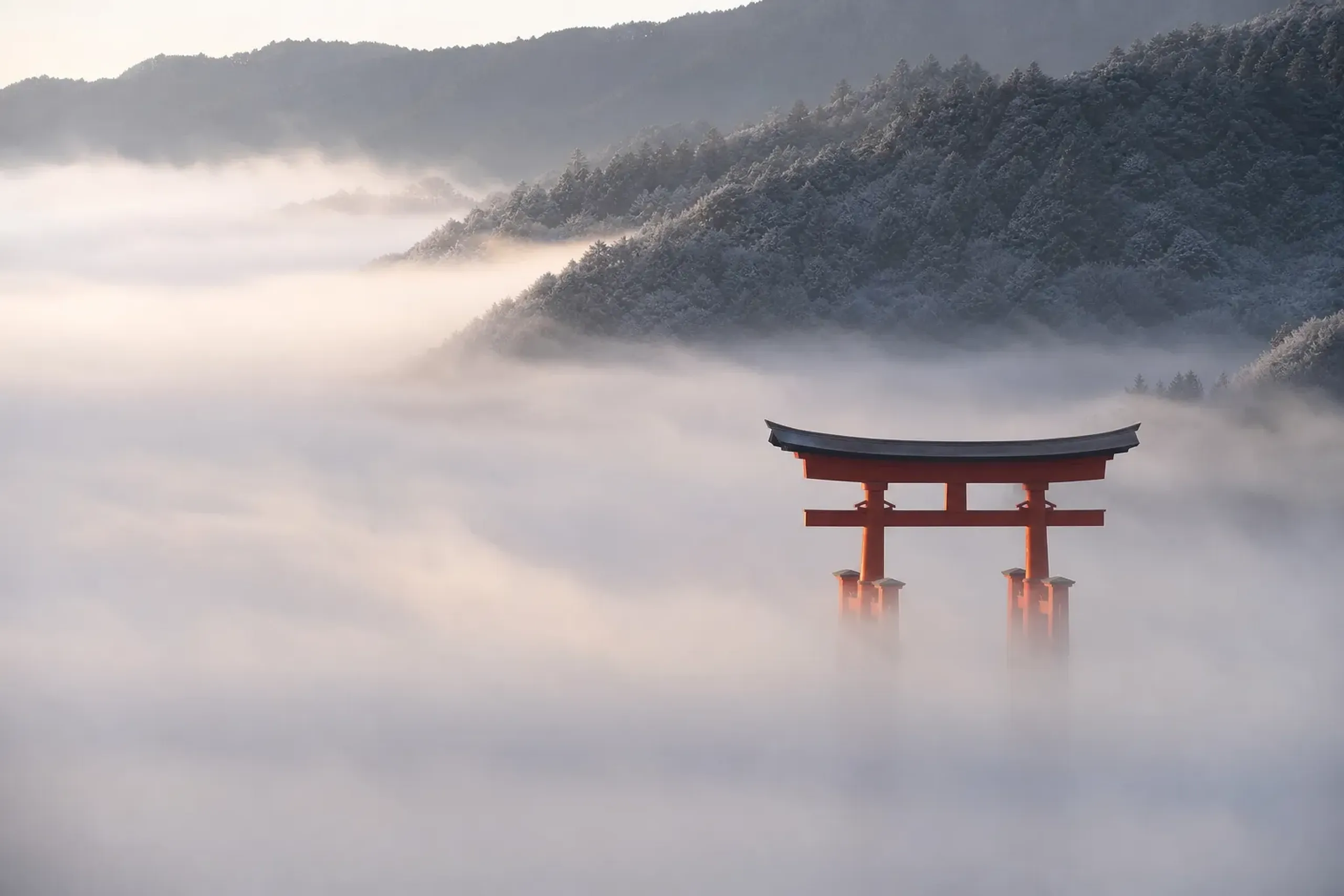 Kyoto In The Mist: A Discreet Luxury Morning Guide By Japan Royal Service