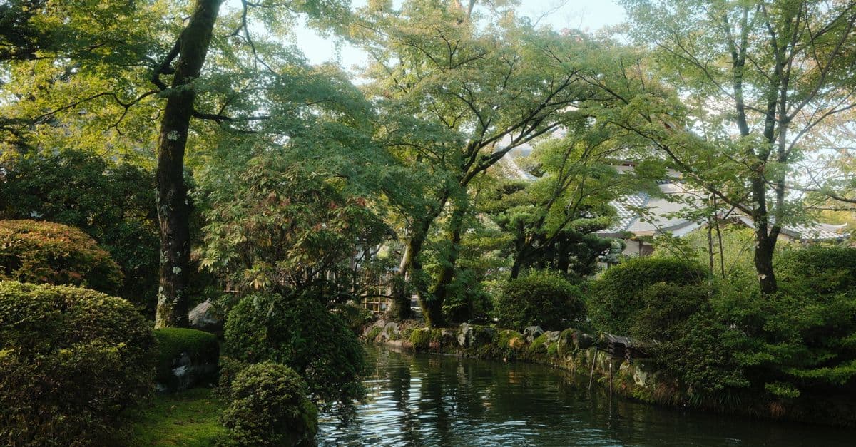 Kyoto's New Luxury Wellness Layer: Sanctuary and Culture in 2026
