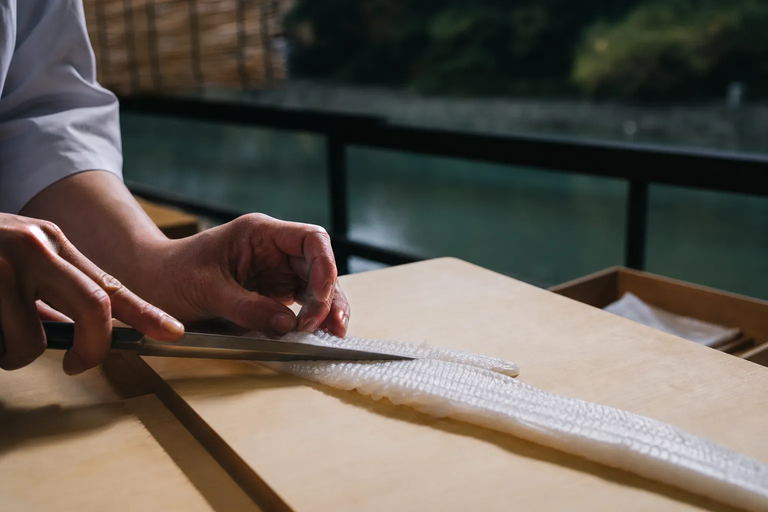 Master Japanese chef performing honegiri bone-cutting technique on hamo fish.