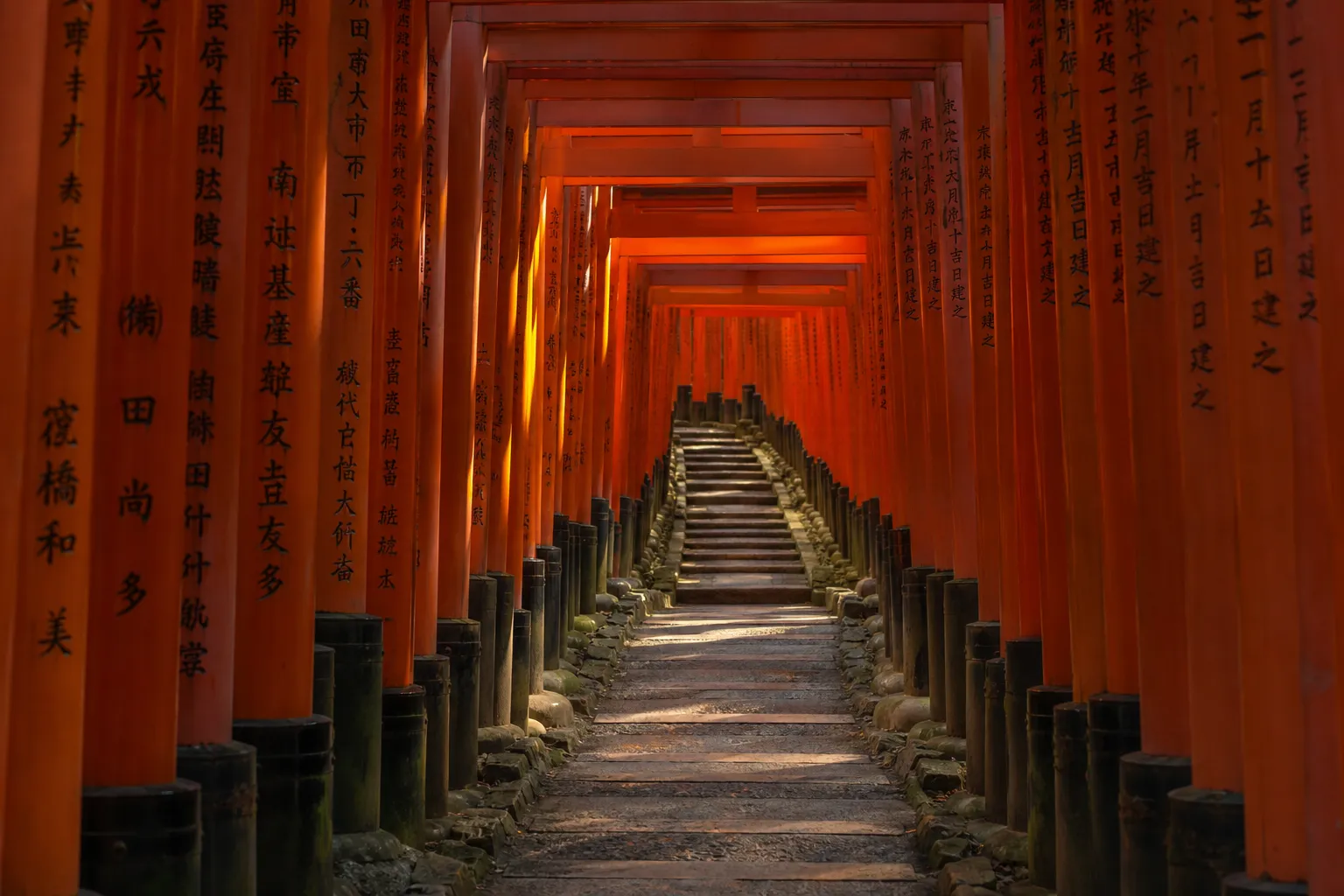 the vermilion torii gate corridor of Fushimi Inari-taisha in Kyoto at dawn, empty of visitors, with soft honest morning light filtering through the closely spaced gates as the path climbs uphill
