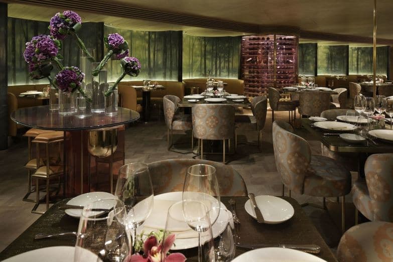 La Cime (Rashīmu): French Restaurant in Honmachi, Osaka
