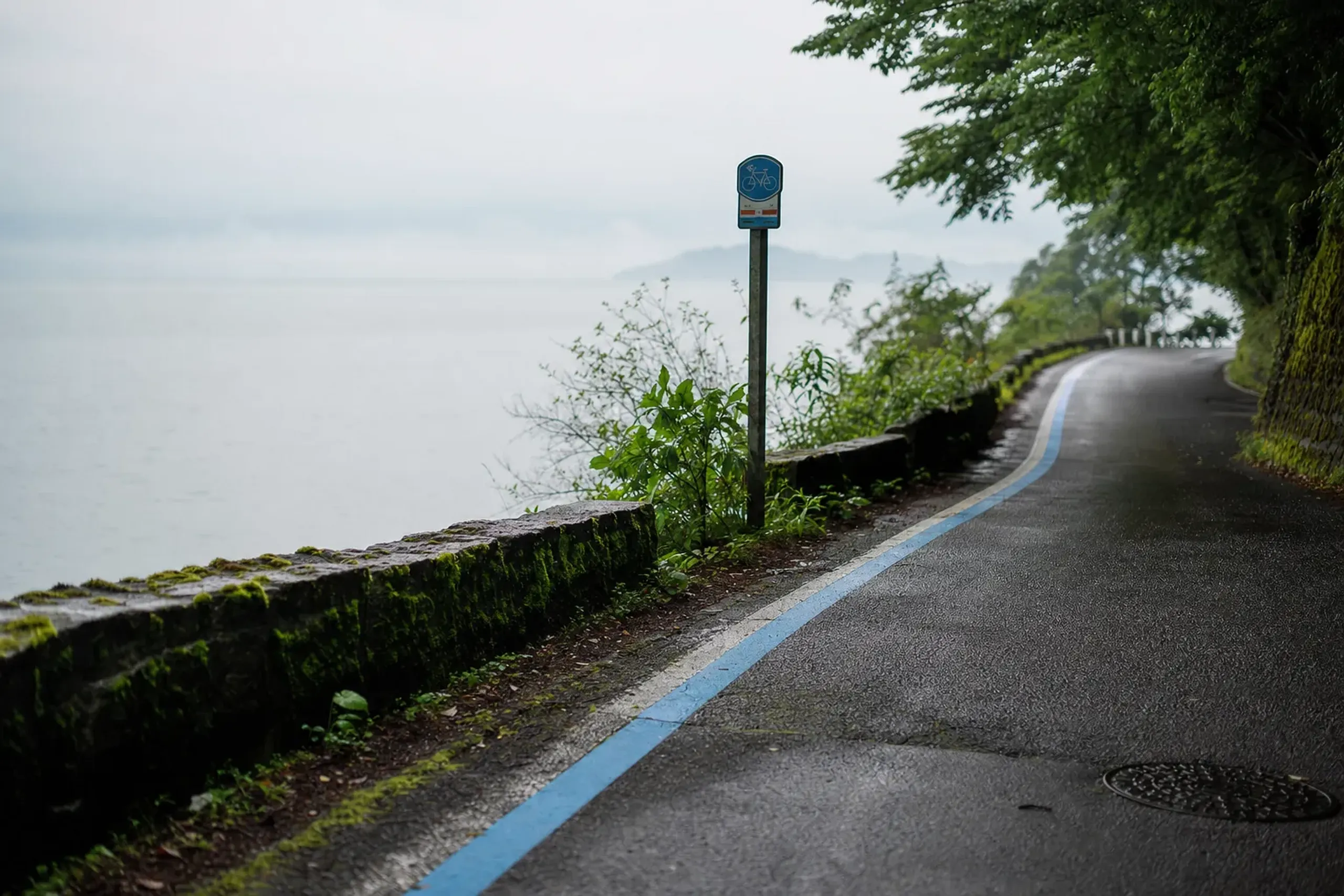 A flat lakeshore stretch of the Biwaichi cycling route, blue route line painted along the road and a signpost, with Lake Biwa open on one side