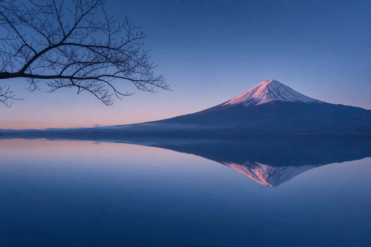 Lake Kawaguchi Travel Guide 2026: Everything You Need to Know