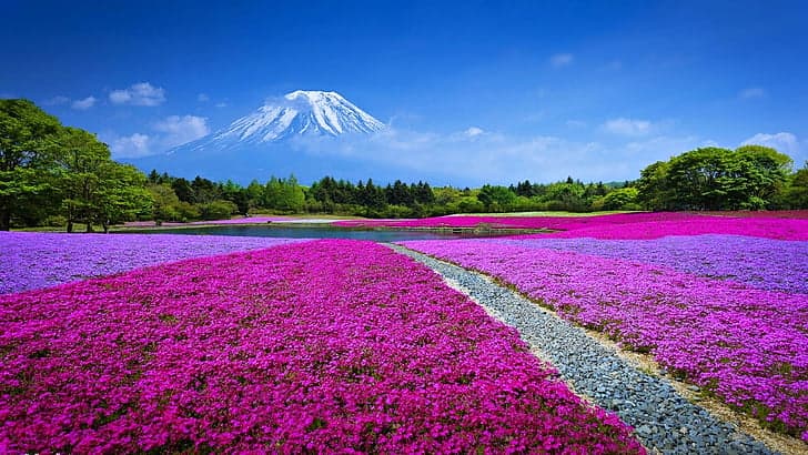 Luxury Coolcation Japan: Private Summer Retreats of Calm Beauty Now