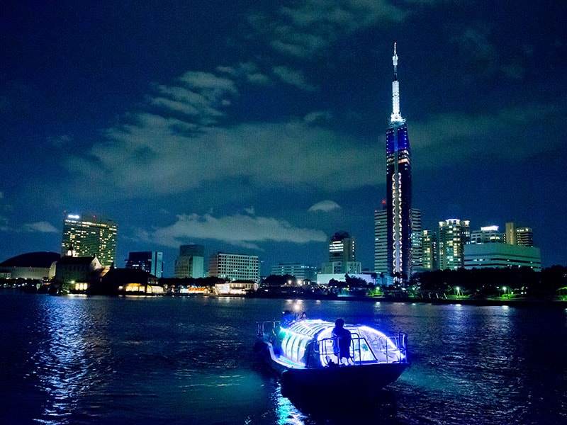 hakata cruse in late afternoon