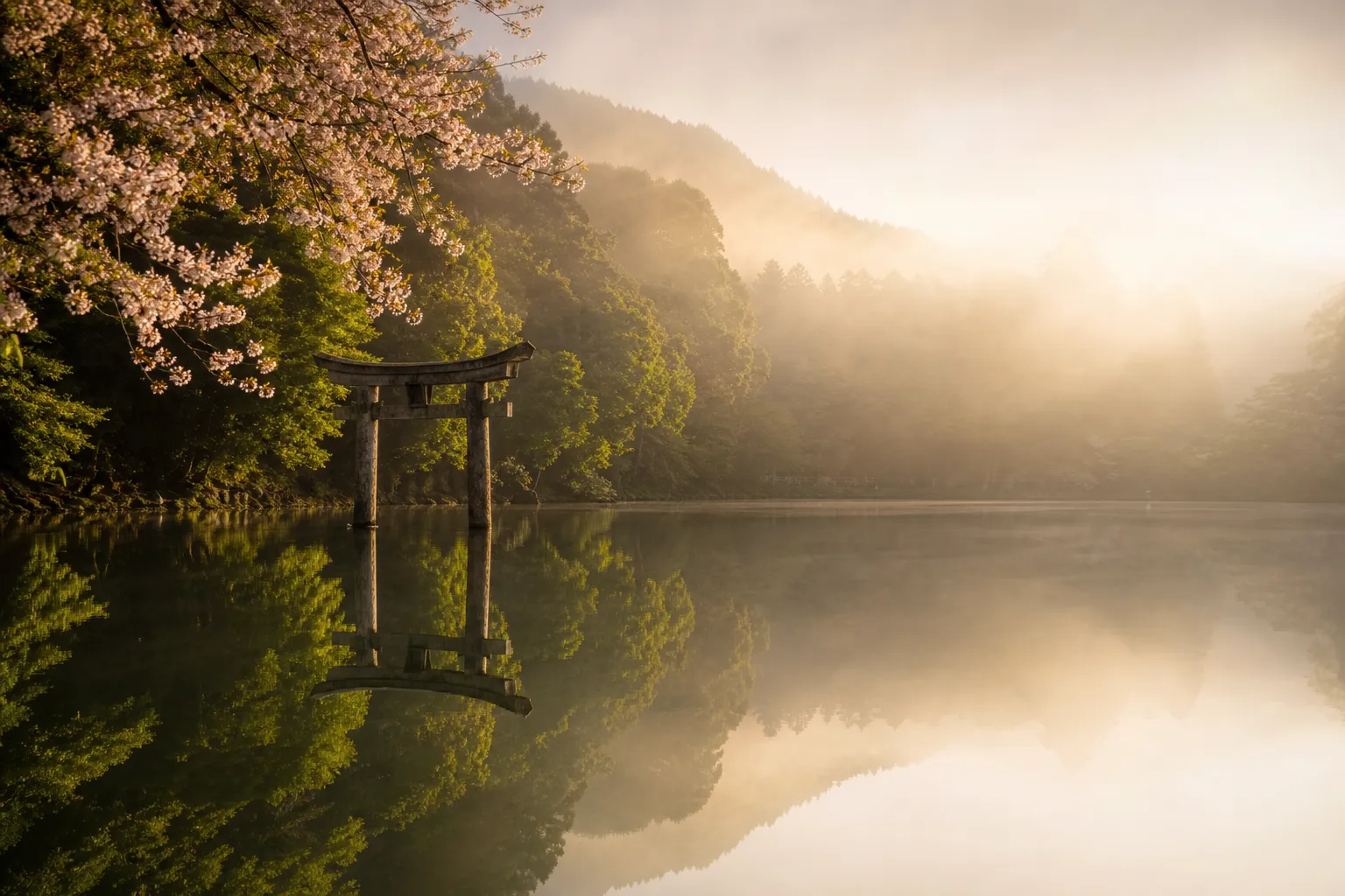 5 Best Luxury Japan Spots to Visit This April 2026
