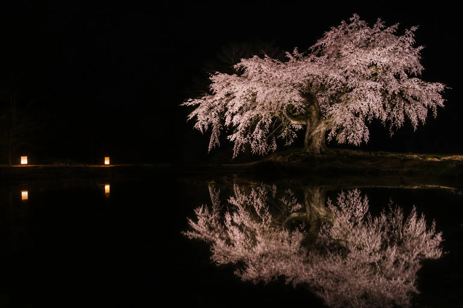 Picture1(352)