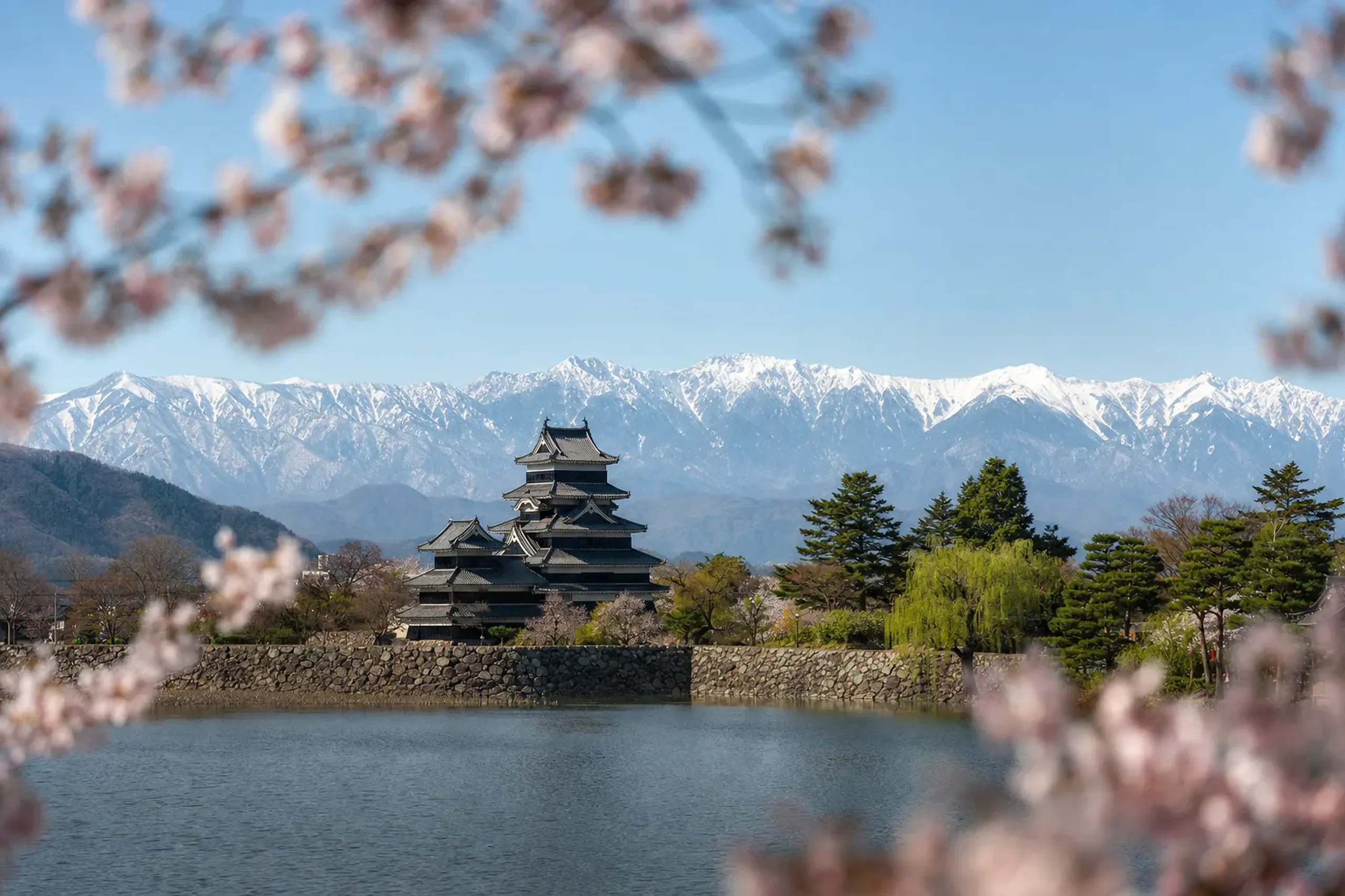 the snow-capped peaks of the Northern Alps rising behind Matsumoto Castle and its ring of cherry trees under a washed blue spring sky