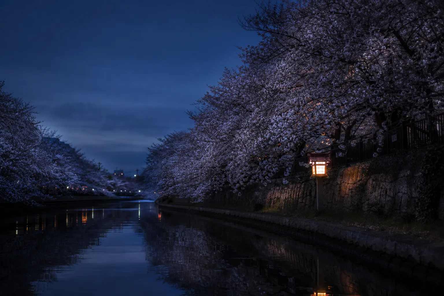 The Most Photogenic Luxury Spots on the Meguro River for 2026