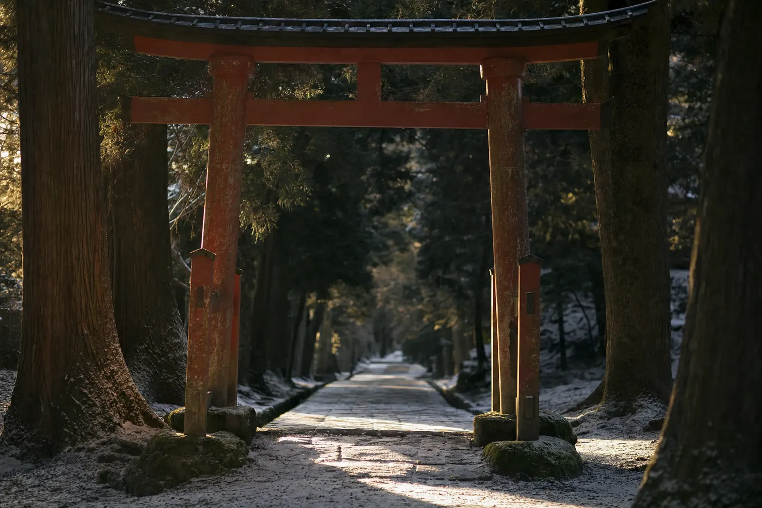 The torii gate and quiet approach path of Hetsu-gū in Munakata City in soft late-afternoon light
