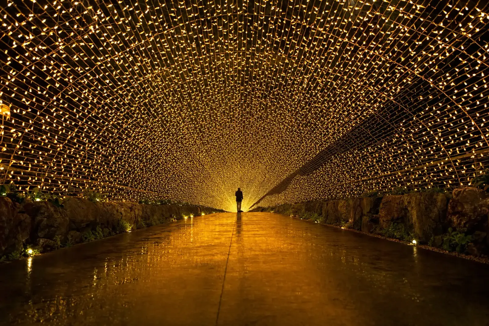 The 200-meter Hikari no Tonneru tunnel at Nabana no Sato, its arched interior fully lined with warm LED lights receding to a distant exit point