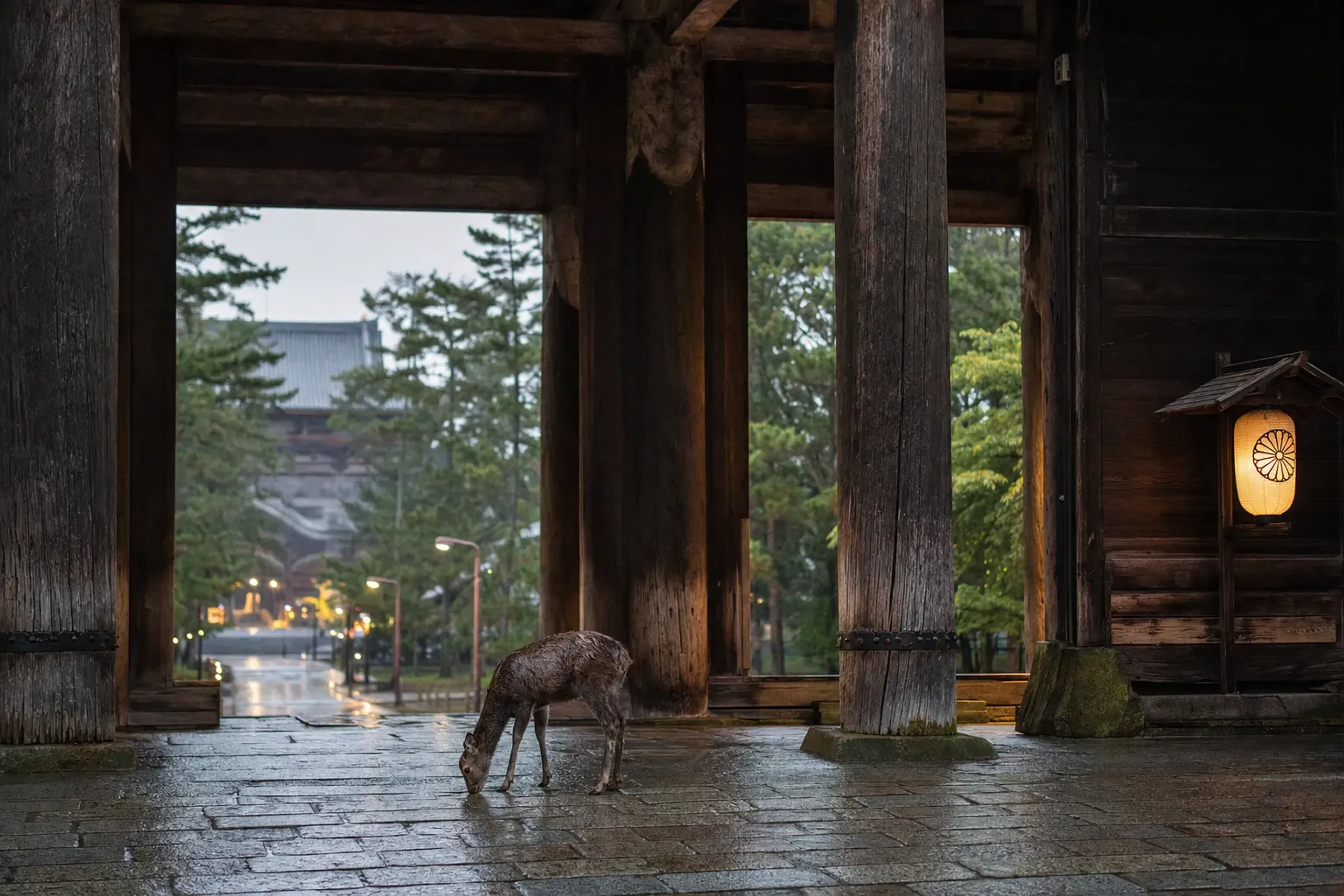 The great wooden Nandaimon gate leading to Todai-ji temple in Nara, framed by ancient timber pillars