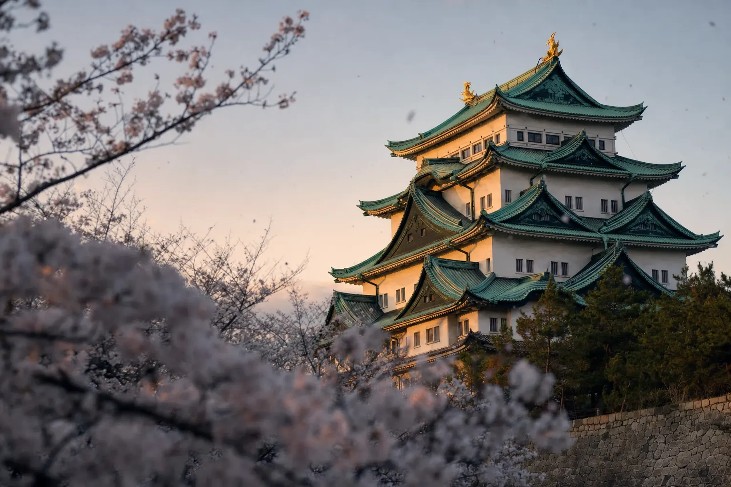 Nagoya Castle lists its Sakura festival period for the 2025–