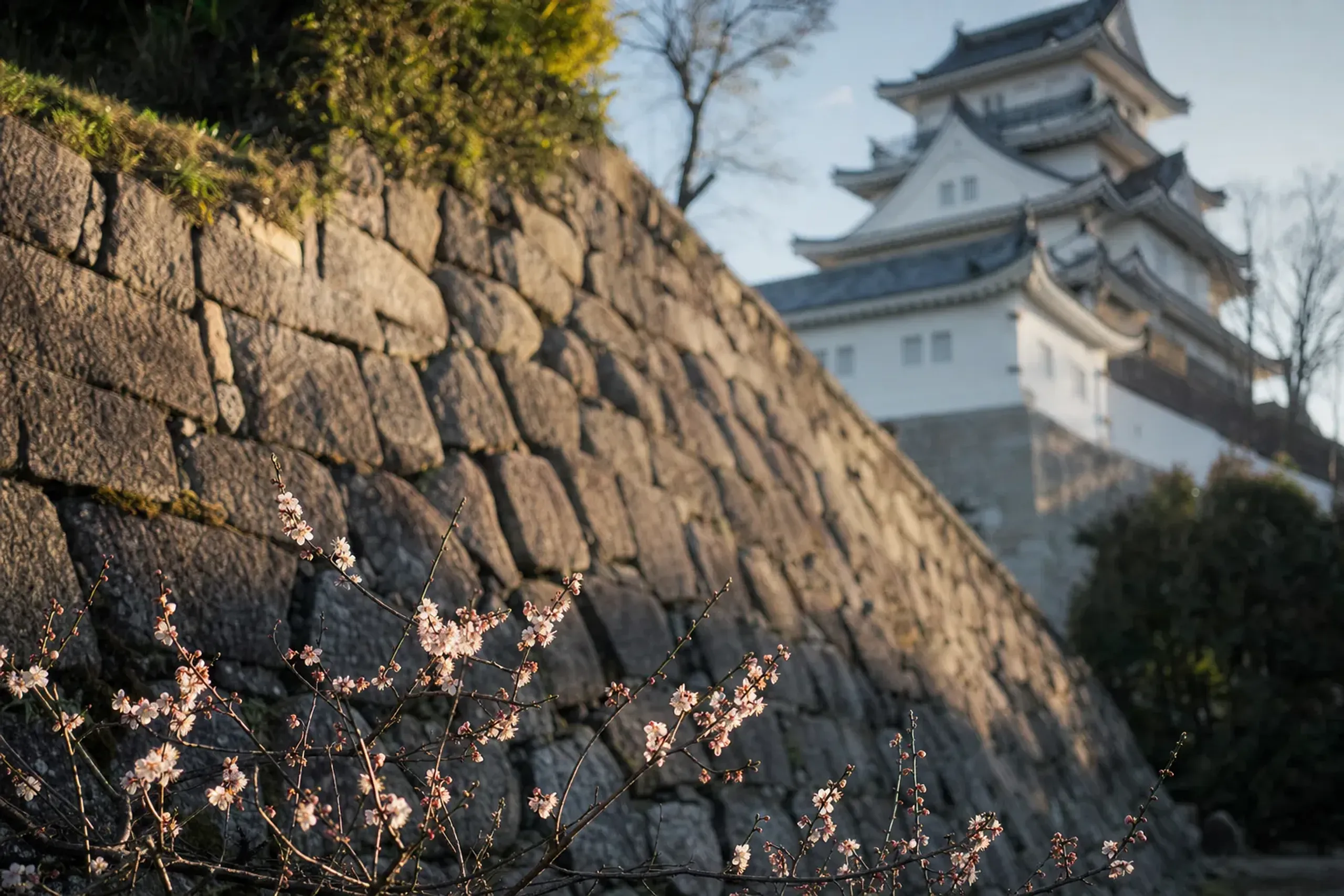 The finest way to experience Nagoya Castle is to let