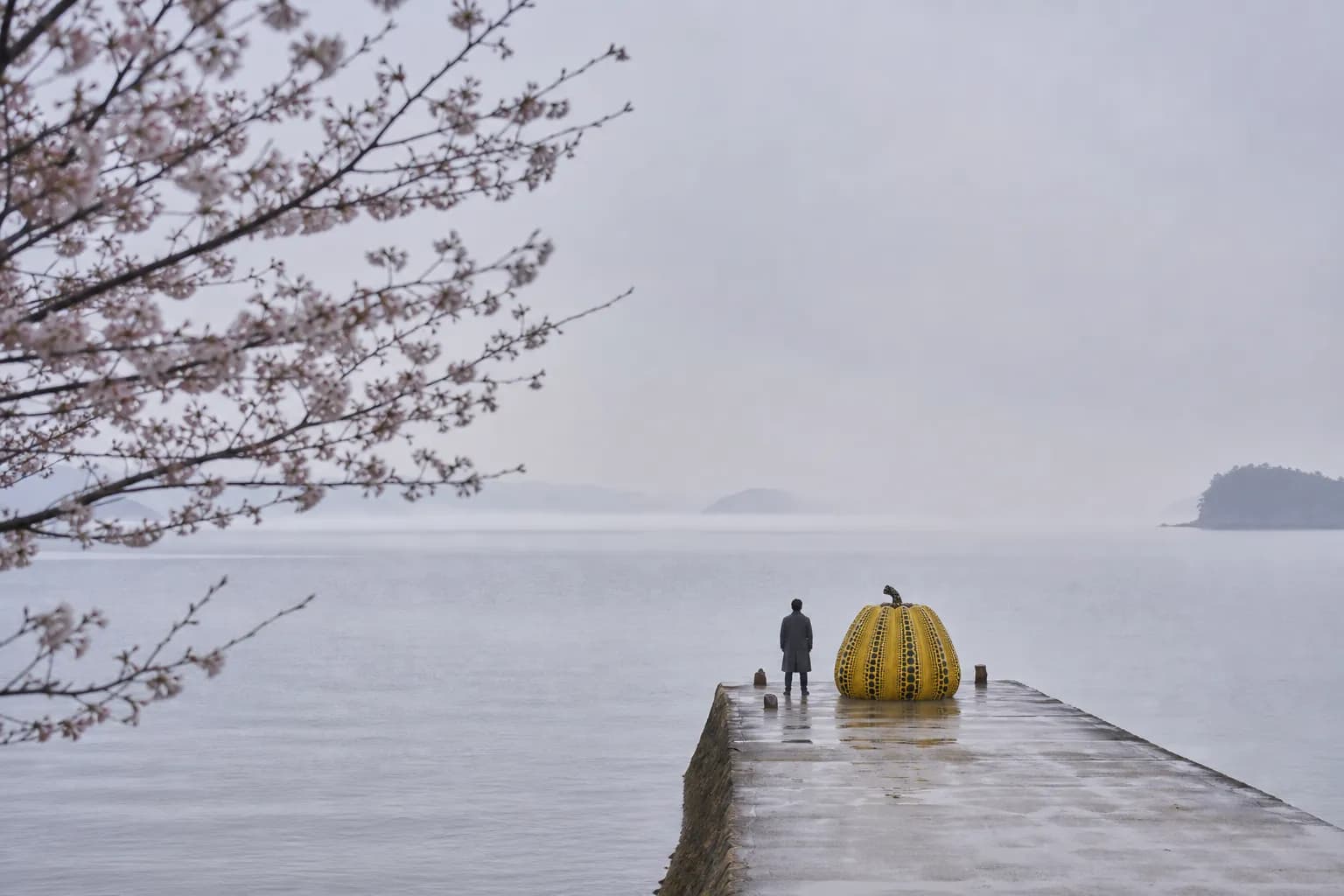 The Elite Guide to Naoshima Luxury & Modern Art