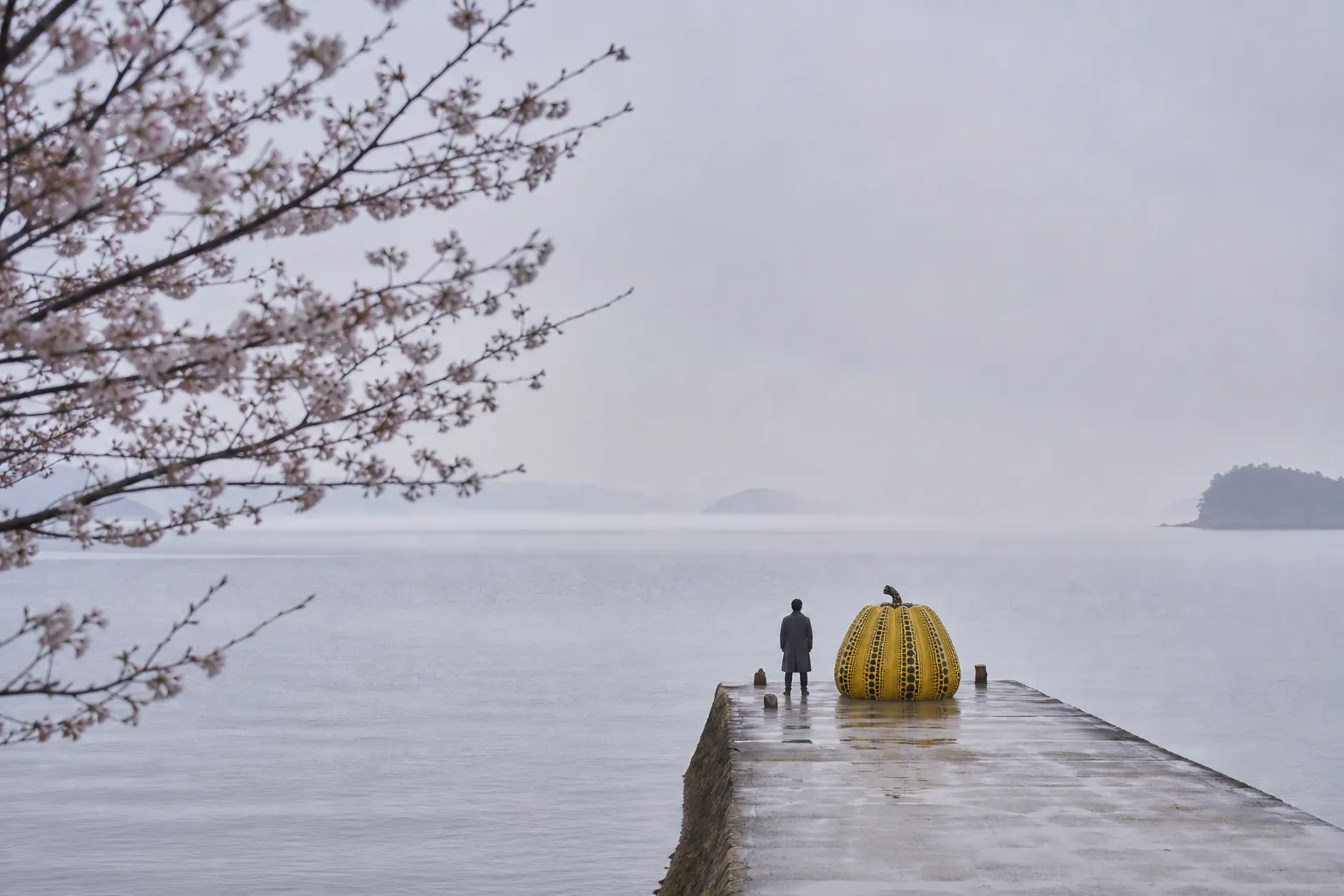 The Elite Guide to Naoshima Luxury & Modern Art
