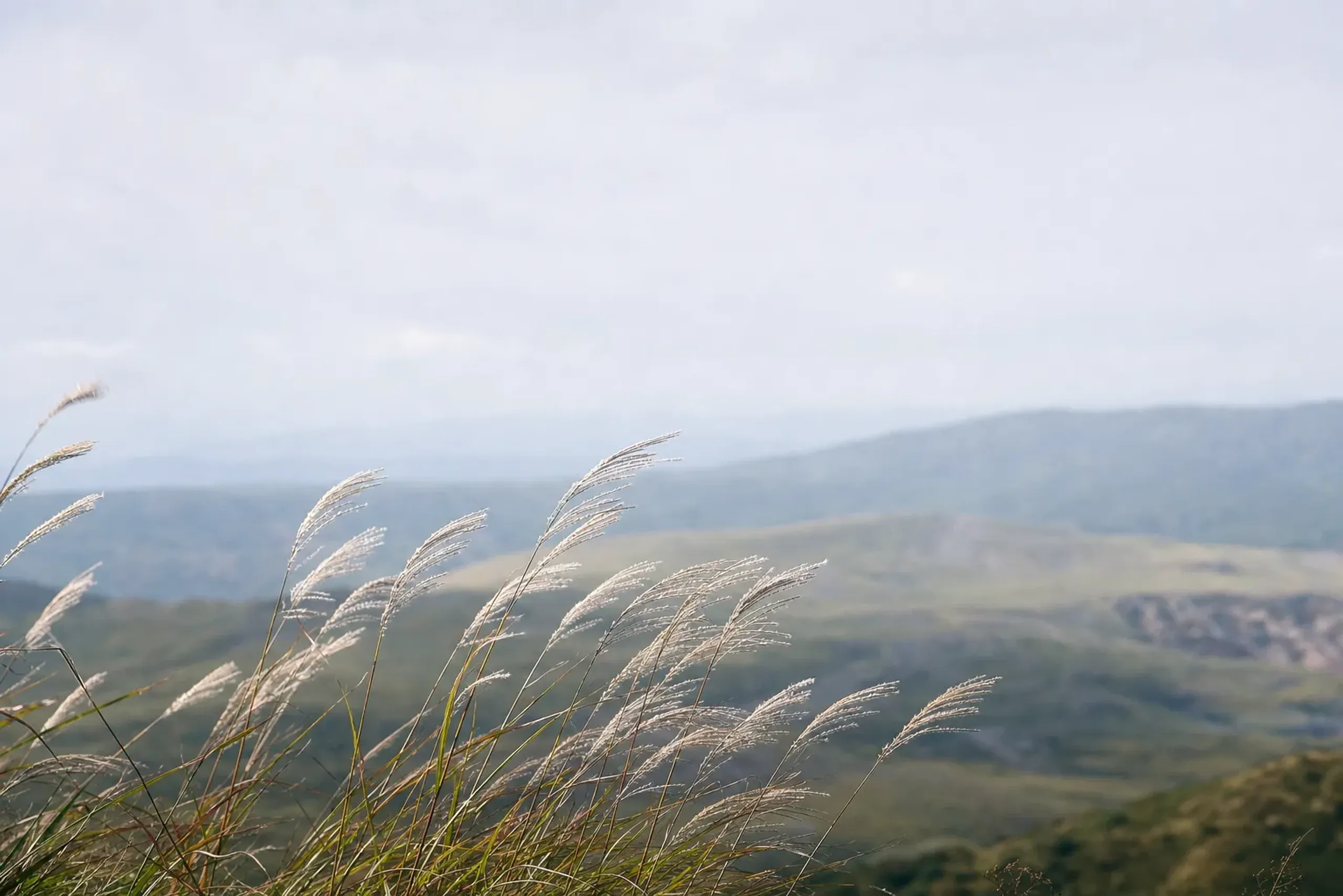 The Nasu Tourism Association describes the wind through the