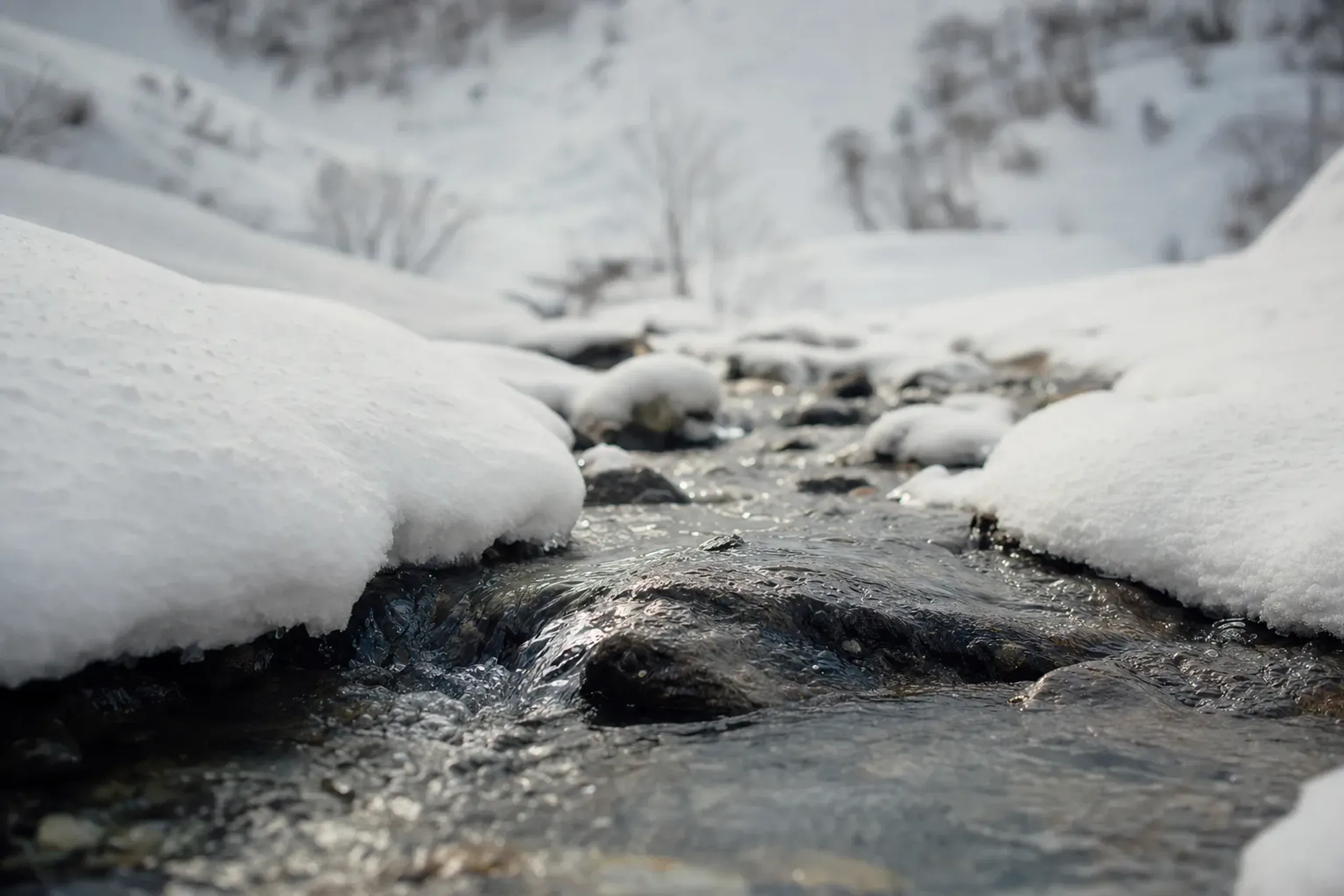 clear mountain snowmelt streaming down the snow-covered slopes of Niigata's mountains in winter, feeding a nearly mineral-free soft-water source