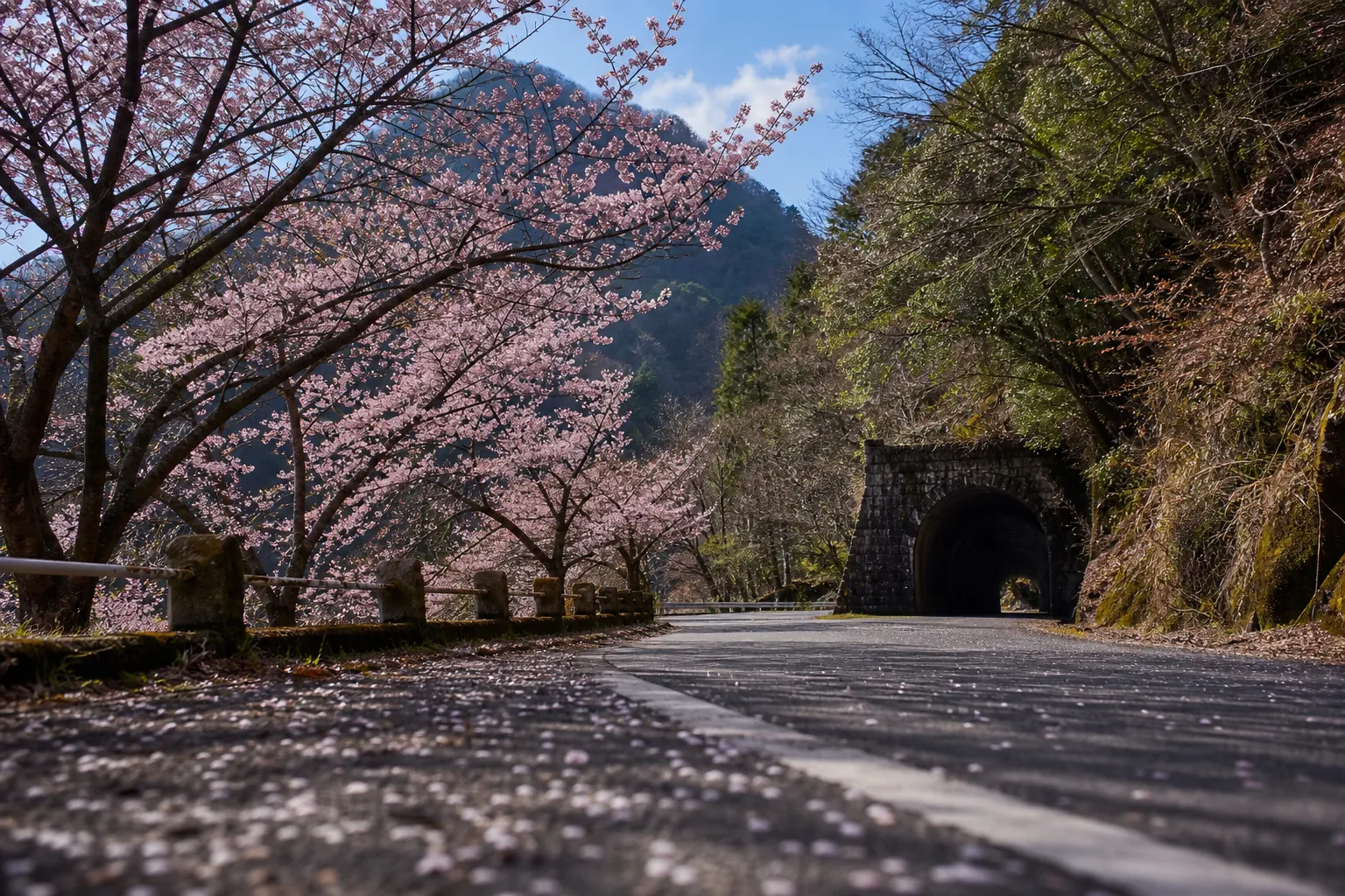 Landscape scene of Autumn season with car tunnel on the road in tohoku, japan, landscape and transportation concept