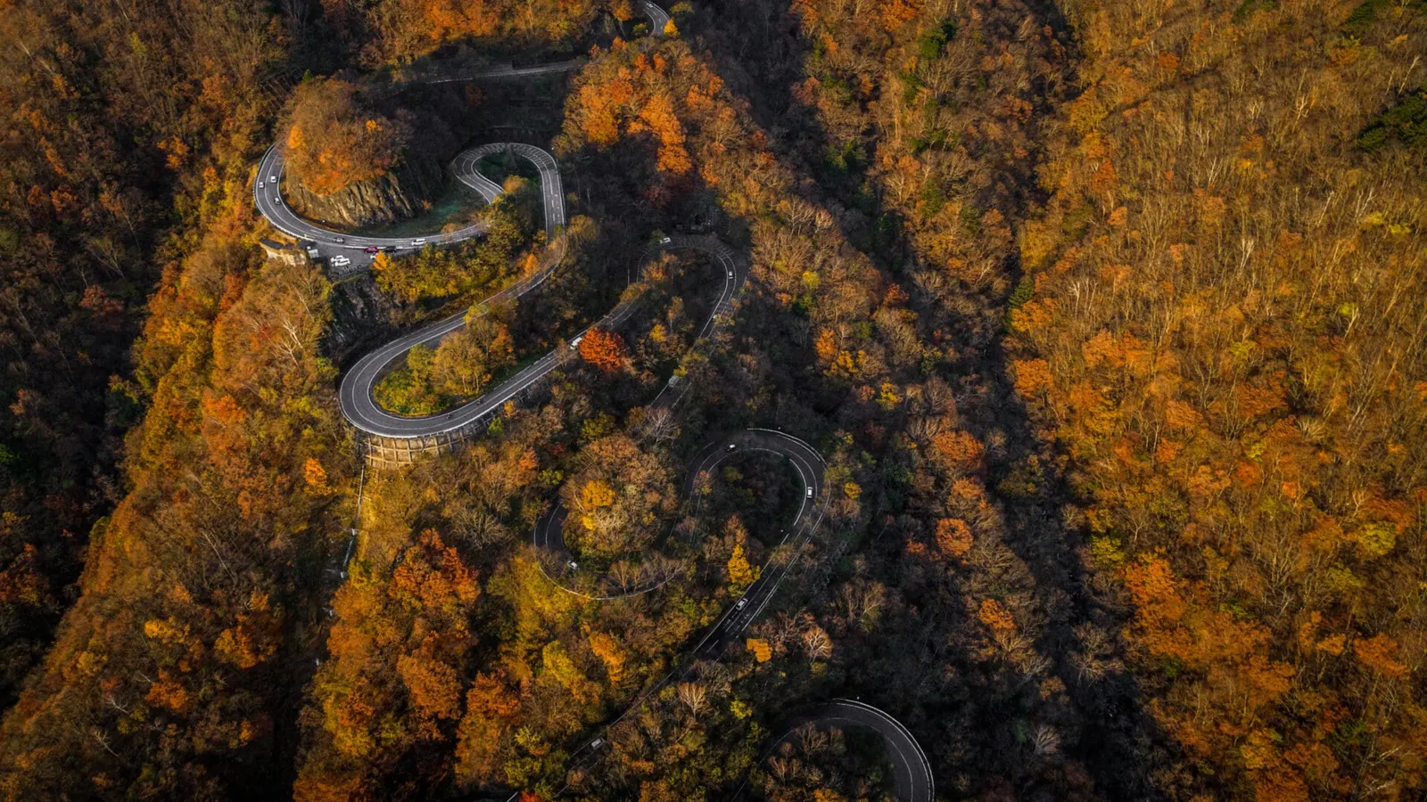 Narrow street between woodland, drone's view - Irohazaki winding road, Nikko