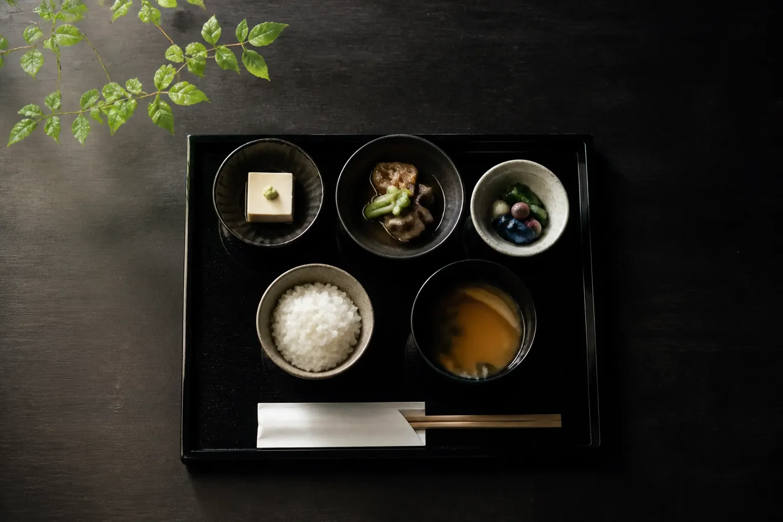 Shojin ryori vegan temple cuisine served in small lacquer bowls on a tray, viewed from above