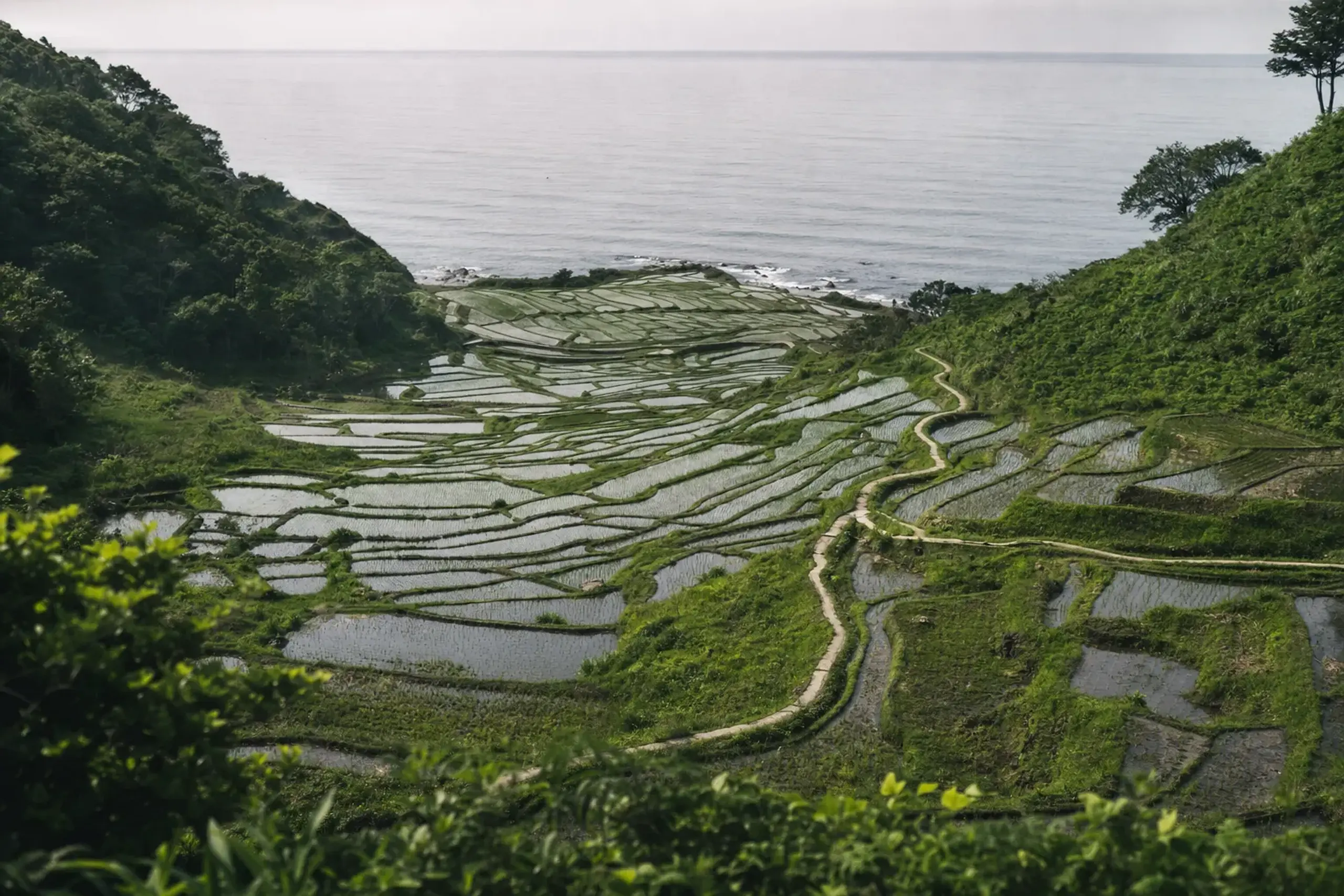 The rice terraces of Shiroyone Senmaida near Wajima in daytime, thousands of small paddies stepping down to the Sea of Japan, unlit and without the suspended Aze no Kirameki illumination