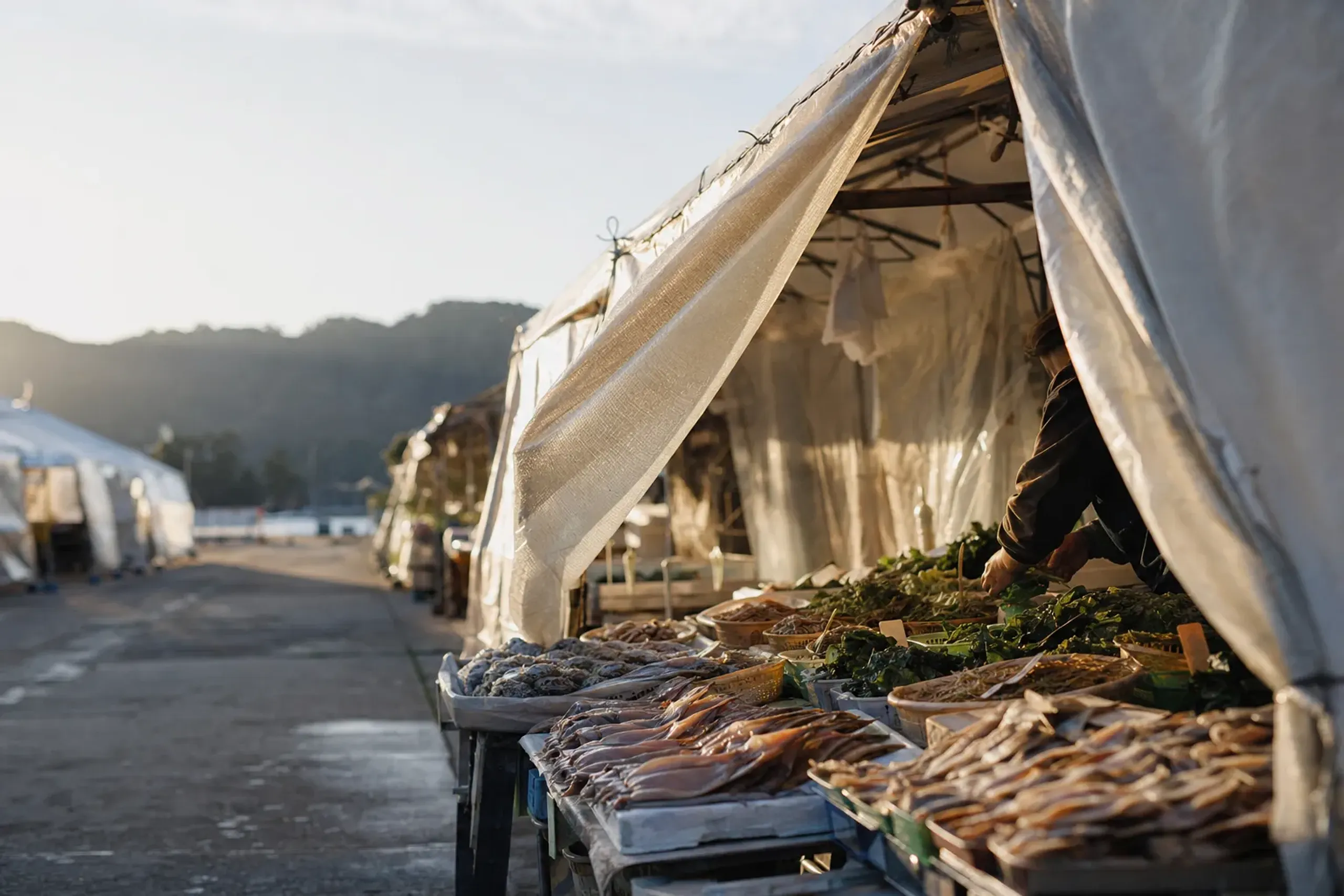 The temporary provisional stalls of the Wajima Morning Market, tables of local produce and dried seafood under simple tented setups