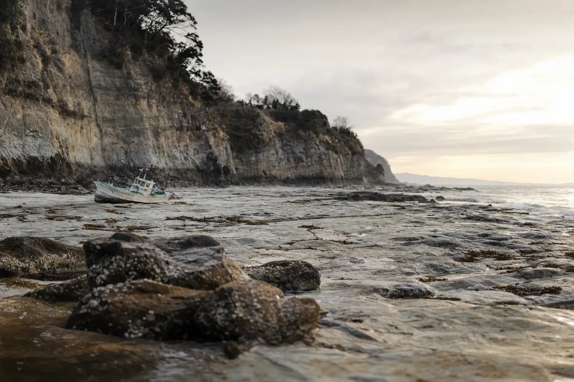 A 5-Meter Coastline Rise: Noto Peninsula Recovery Guide