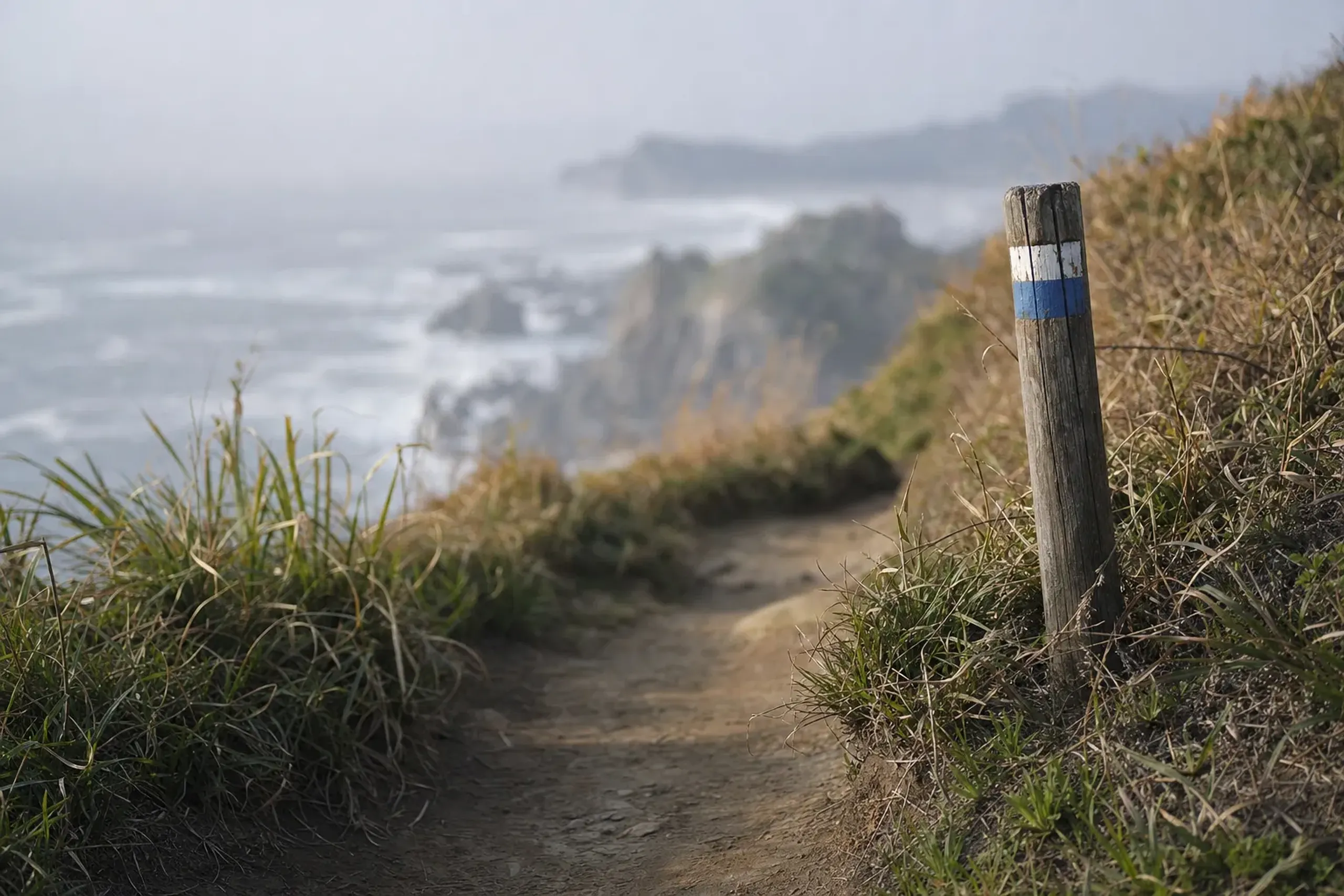 a waymarked coastal footpath of the Michinoku Coastal Trail winding along the rugged Tohoku Pacific shoreline