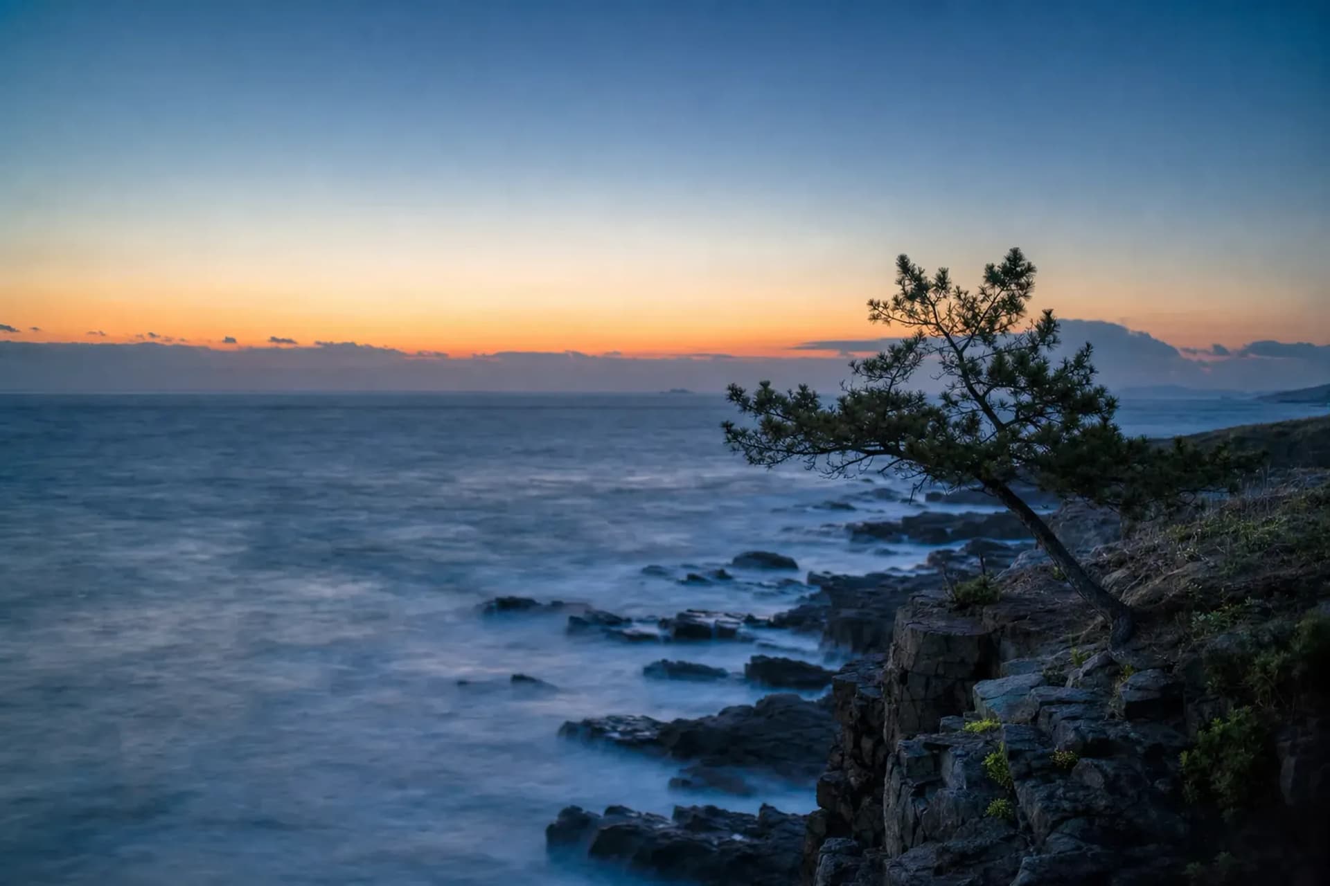 Noto: What's Open, What Isn't, and Why to Go Anyway