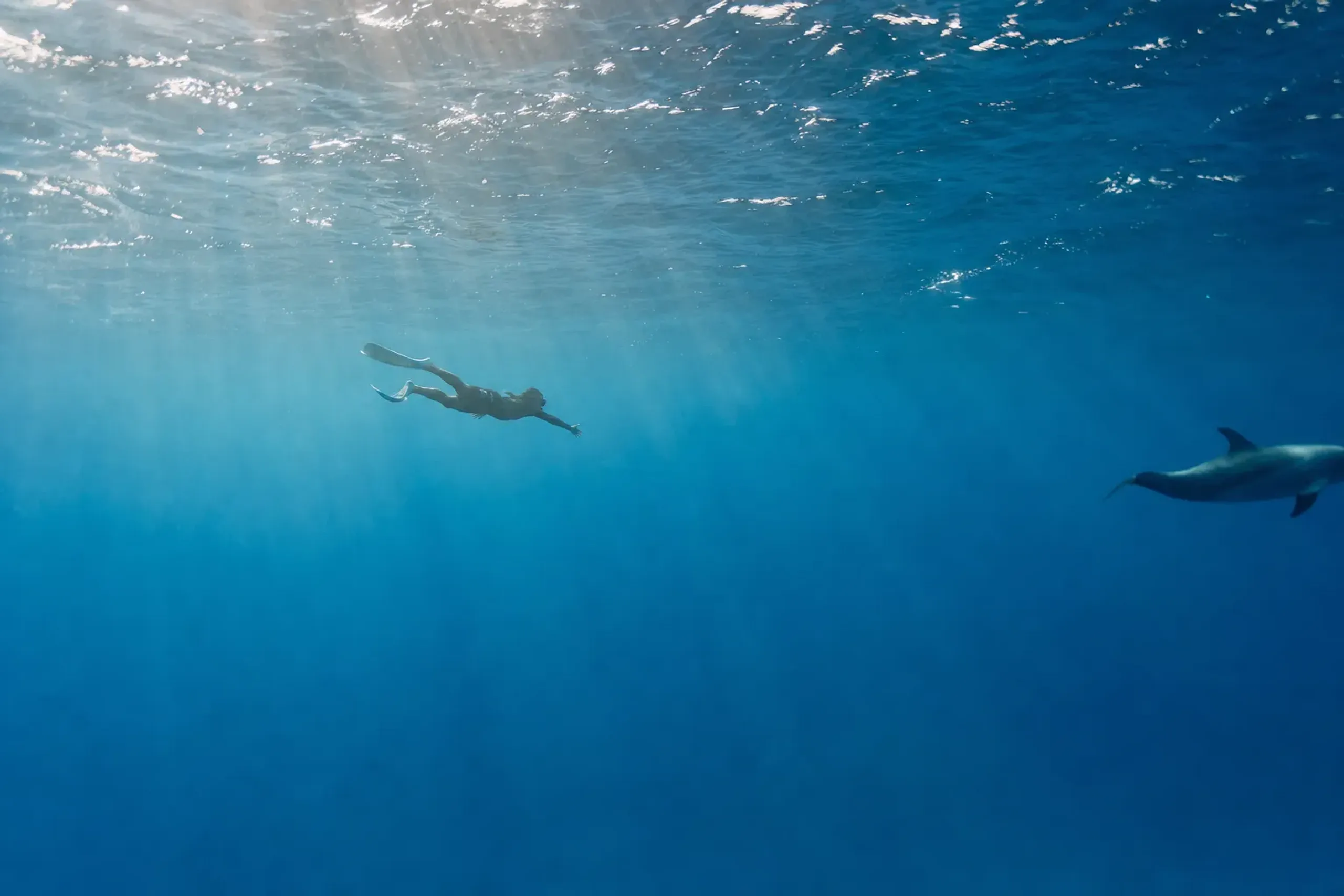 Choose one main water activity. Snorkel. Dive. Or a dolphin-
