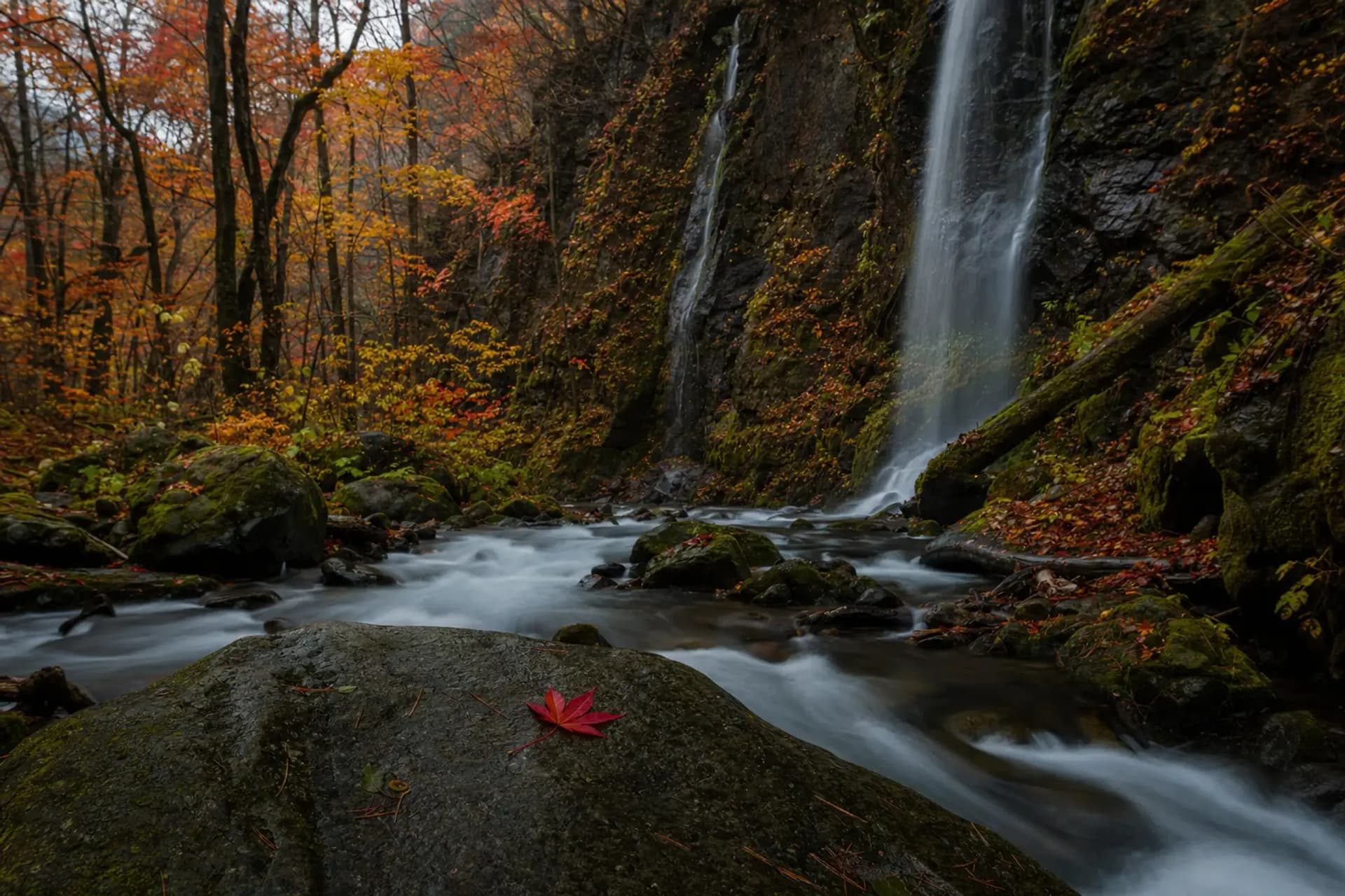 Oirase Stream and Lake Towada: A Guide to Autumn in Aomori