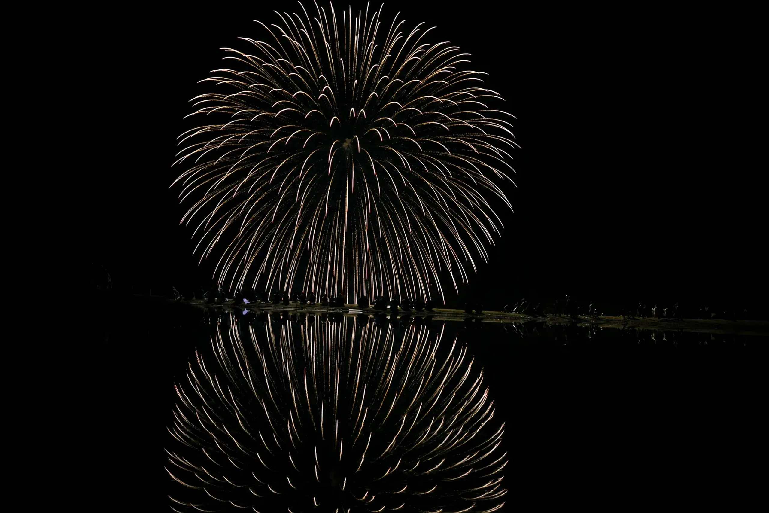 A single 10-gō shell opening roughly 300 metres wide over the Omono River at Omagari during the night round, filling a quarter of the visible sky