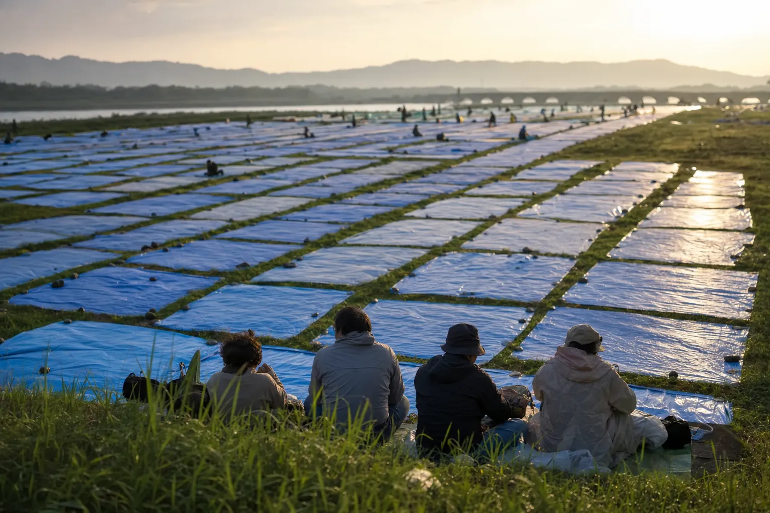 Dense rows of tarpaulin viewing plots laid out along the Omono River embankment at Omagari before the competition begins