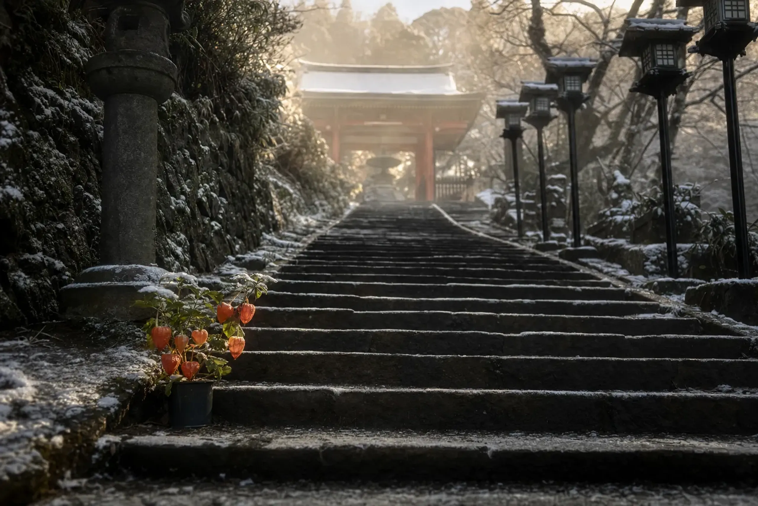 The stone approach and vermilion gate of Atago Shrine in Minato Ward, where hozuki was first sold as a medicinal herb