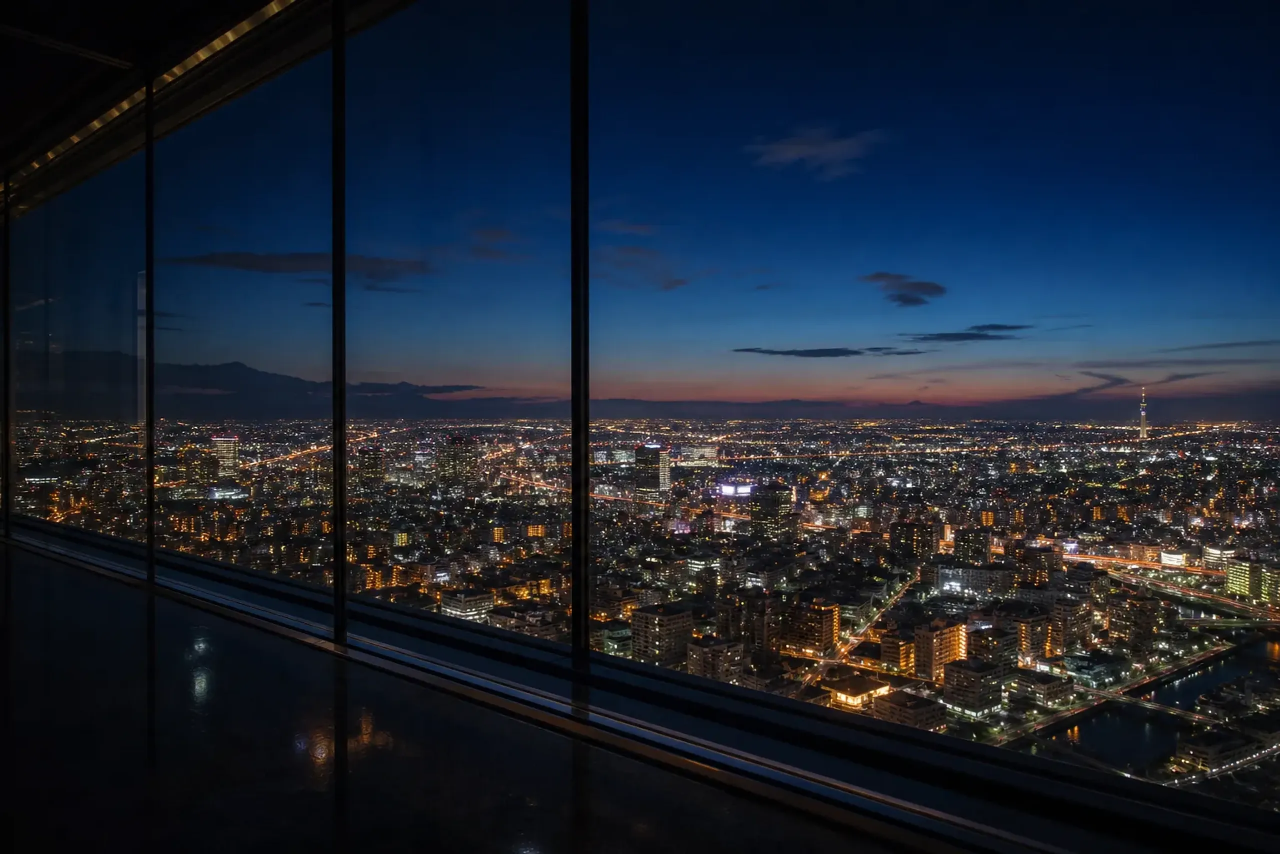Nighttime view over Osaka from an observation level after a Kyoto day trip