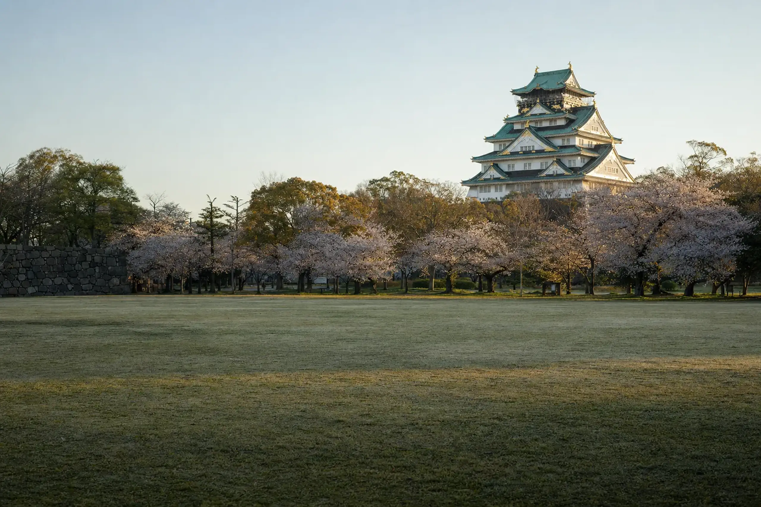 Rows of cherry trees in Nishinomaru Garden with Osaka Castle keep in the background