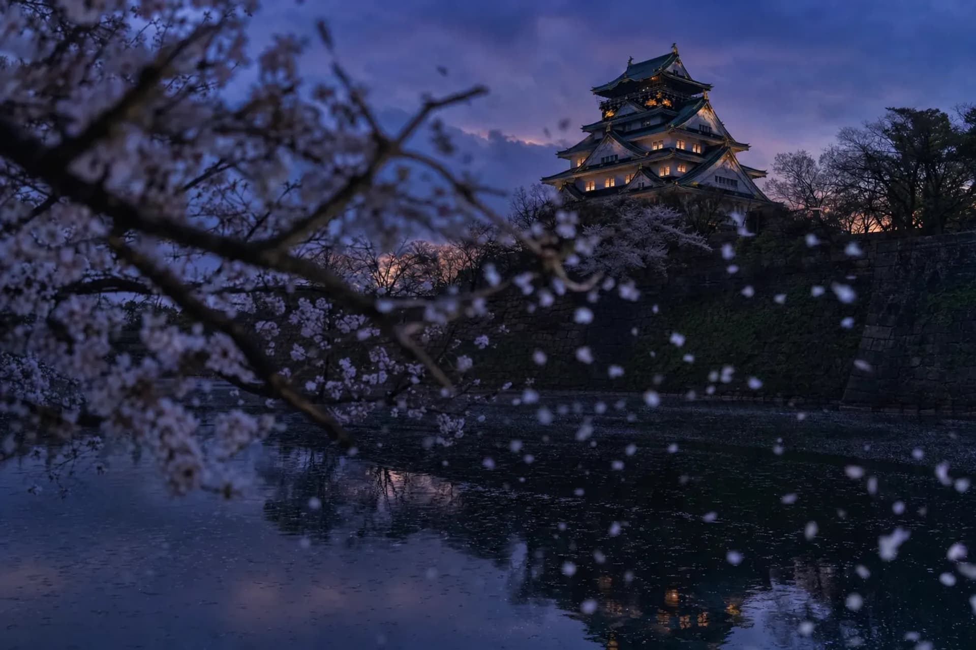 Behind the Gate: Osaka Castle in Blossom
