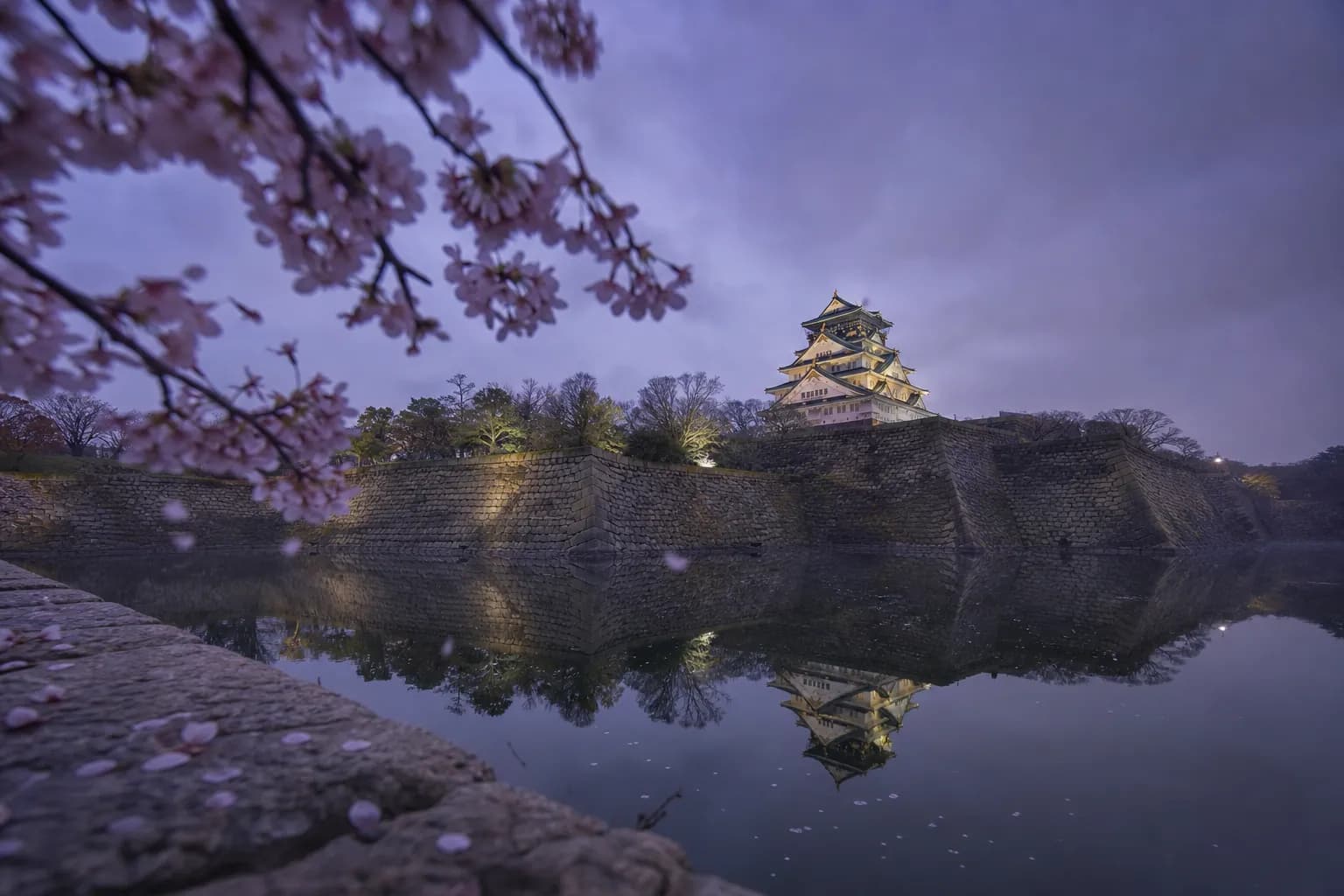 Osaka Castle Cherry Blossoms: Peak Timing & Quiet Viewing Spots (2026)