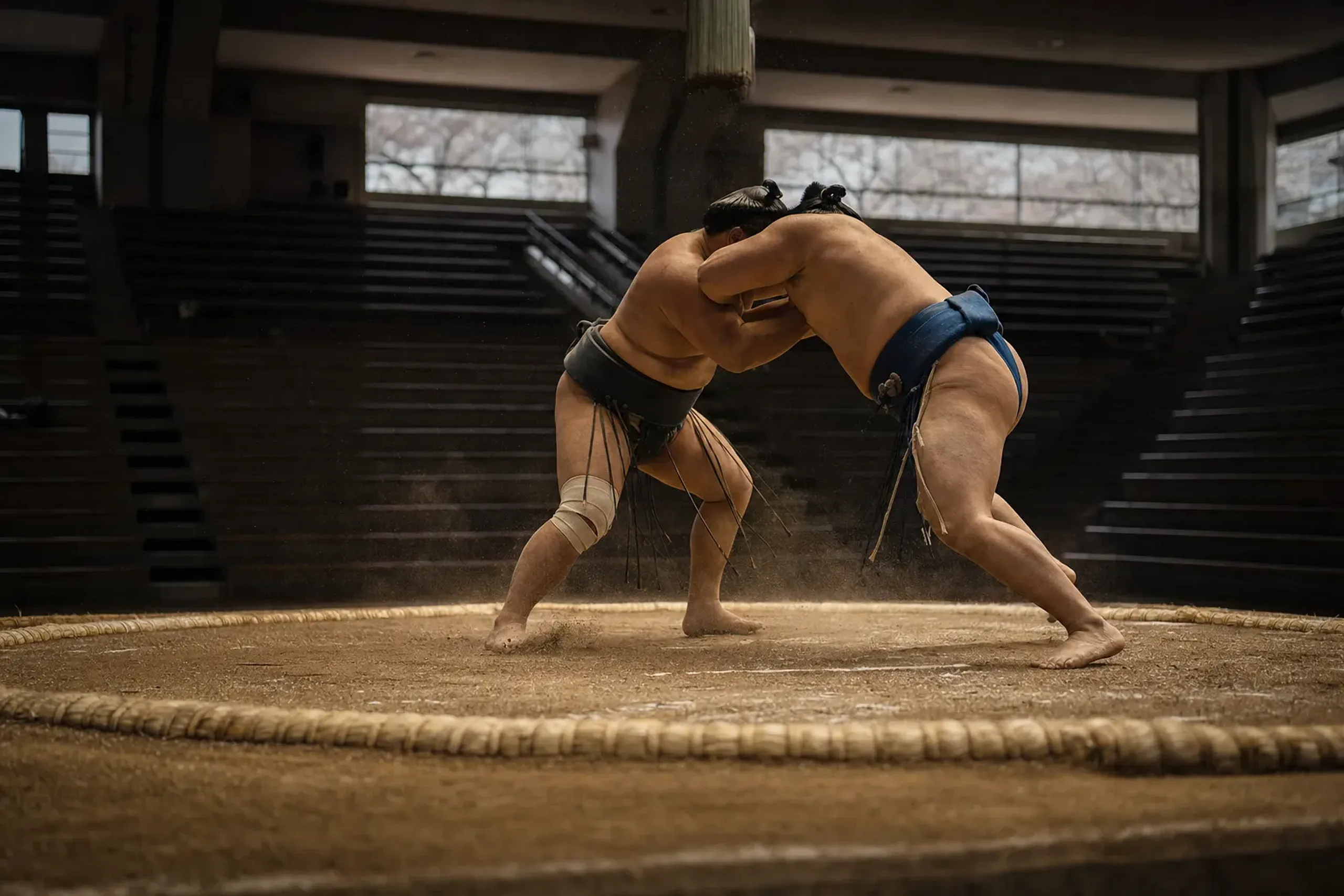 Wrestlers training in a traditional sumo stable at dawn while visitors watch in silence from the floor