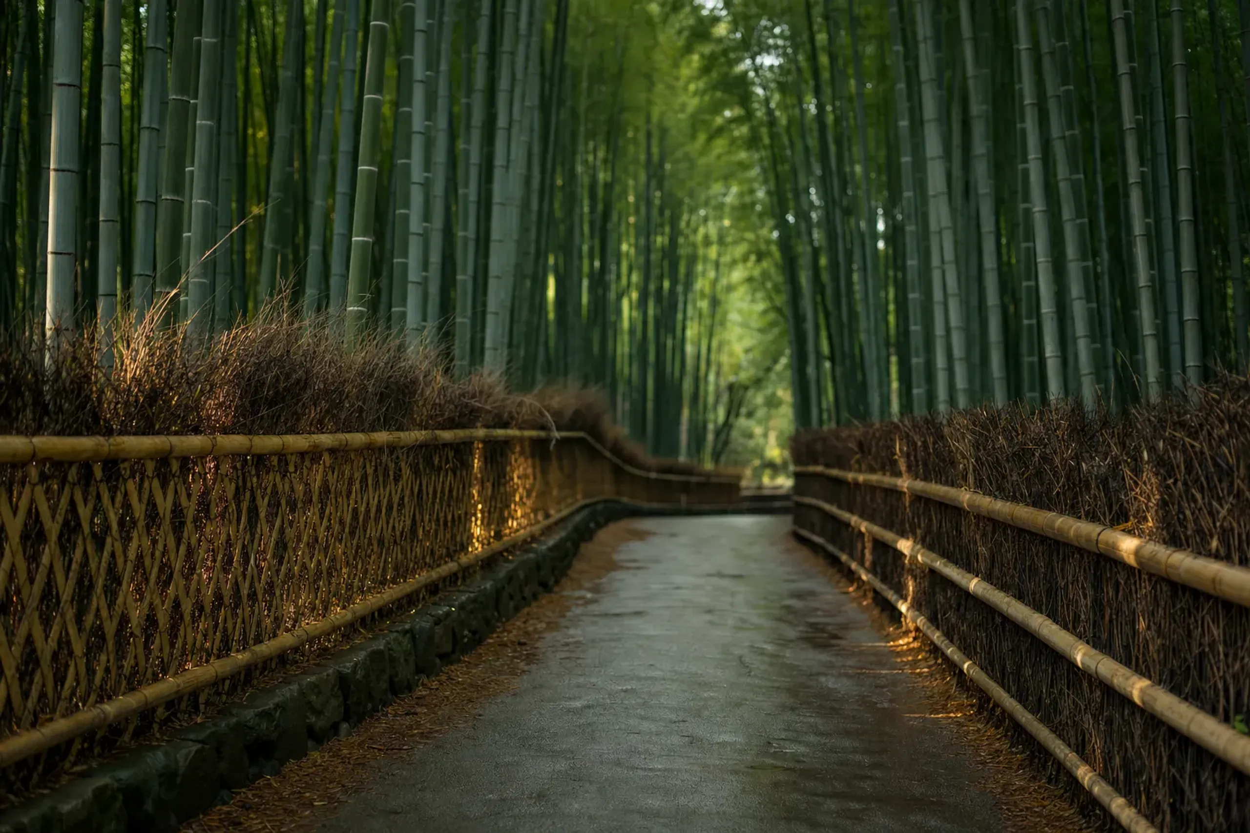 The broad, well-maintained Take-no-Michi bamboo path in Muko City, lined on both sides with bamboo fences and hedges in multiple weaving styles
