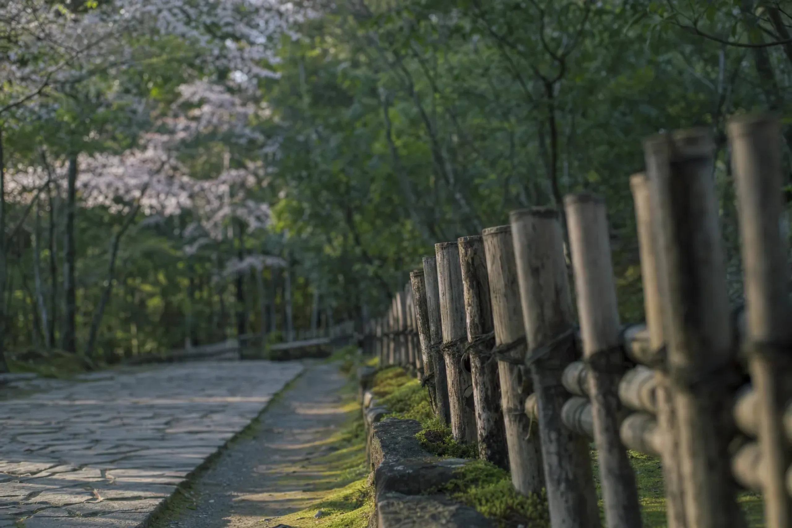 A mossy edge and a weathered, scuffed bamboo fence along the quiet Take-no-Michi path