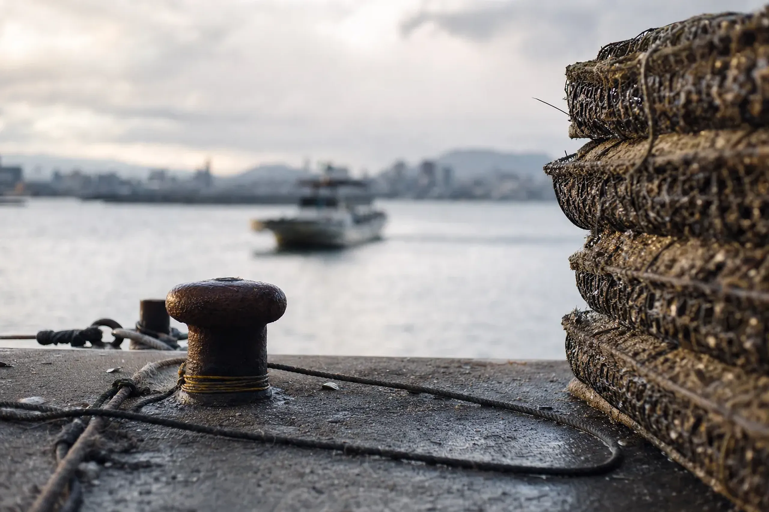 It is about five kilometres from the Ujina port area