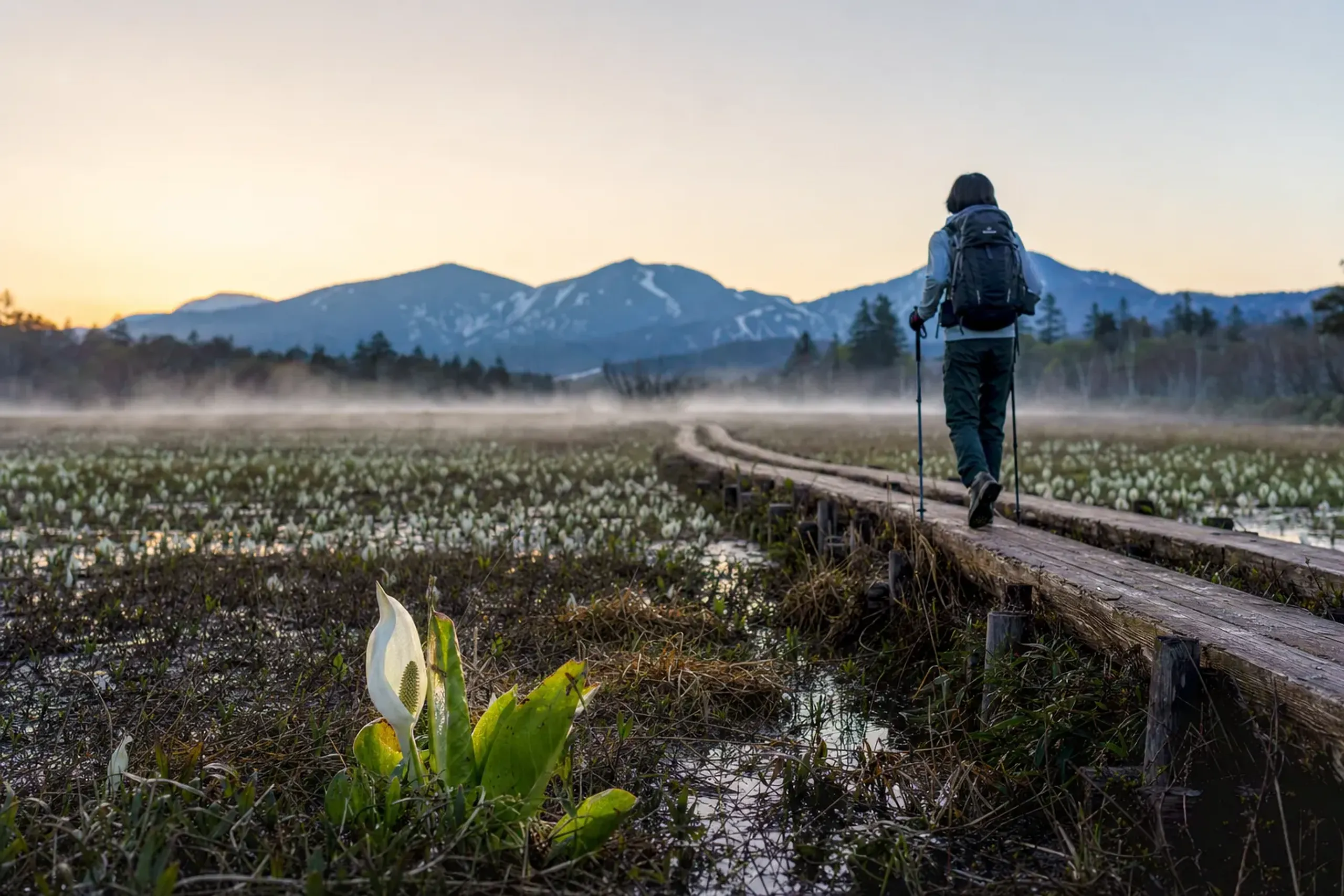 In summer, an early departure buys you three things at