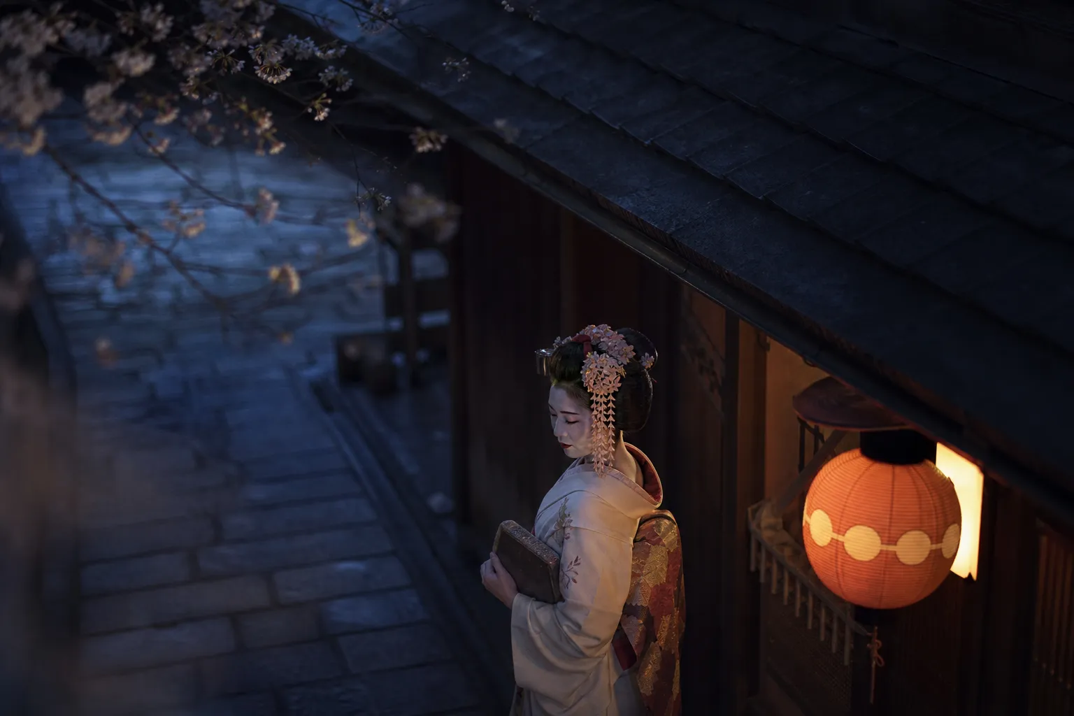 Book a Private Geisha in Gion | Luxury Kyoto Experience